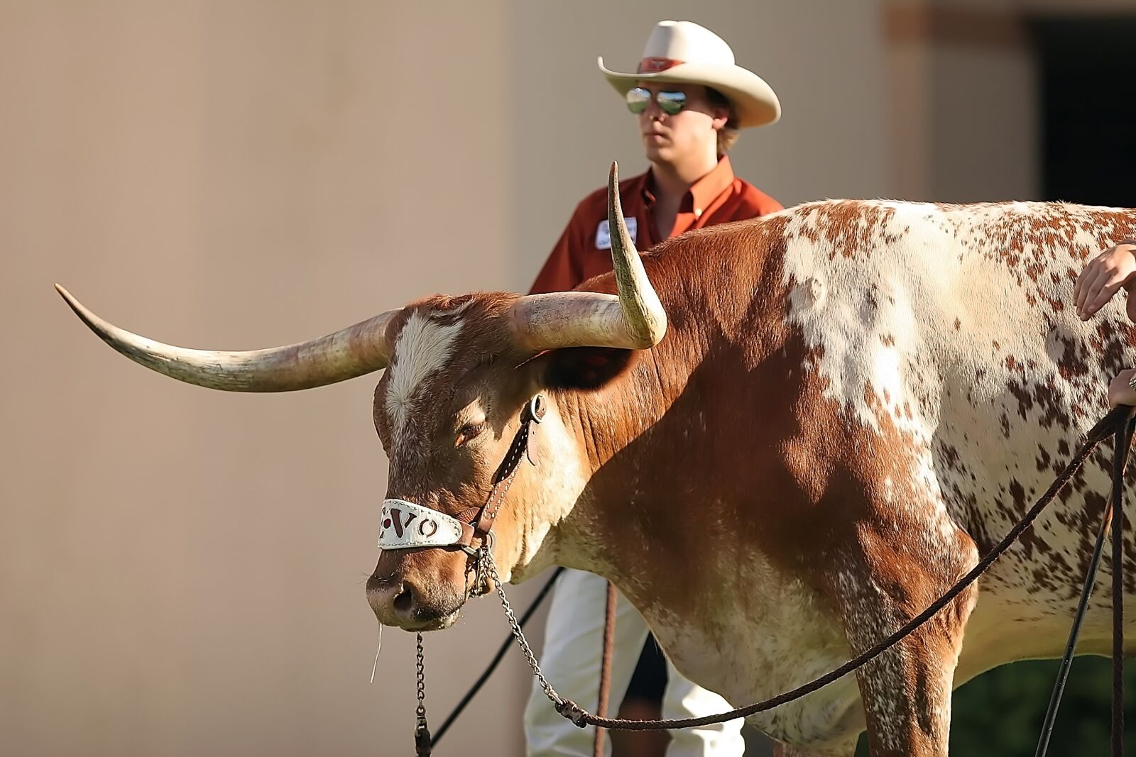 Canon EOS 20D sample photo. Mascot, sports, texas photography