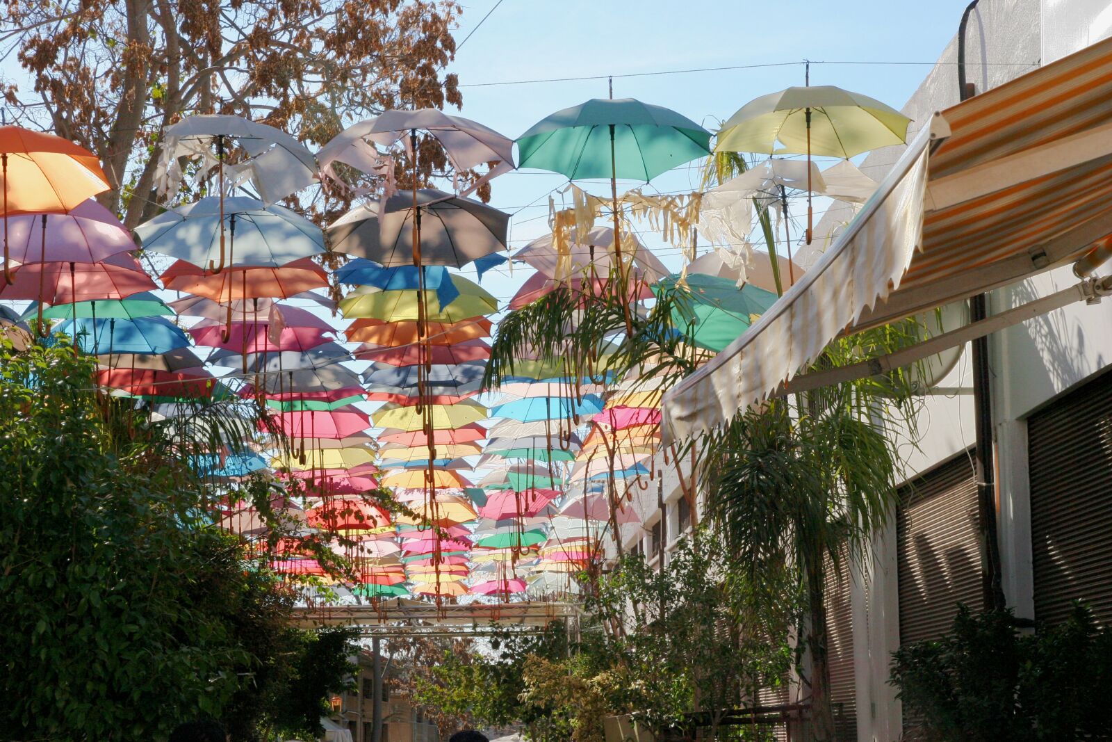 Canon EOS 20D sample photo. Umbrella, street, colours photography