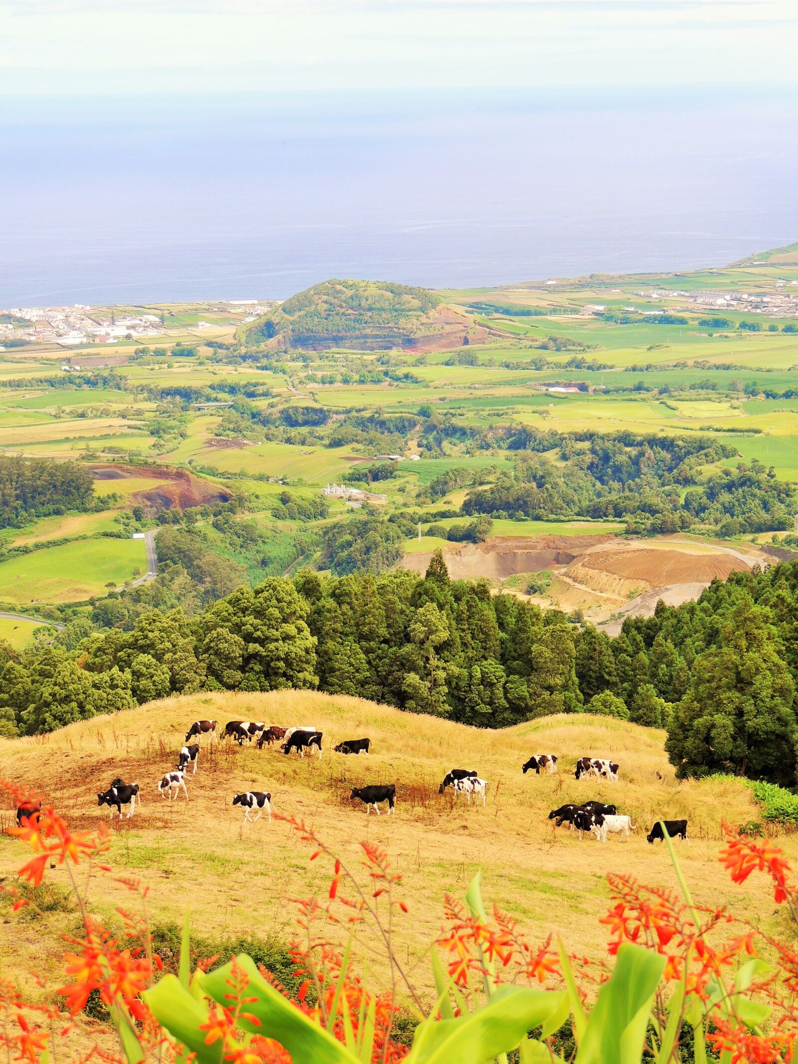 Nikon Coolpix P510 sample photo. Azores, nature, landscape photography