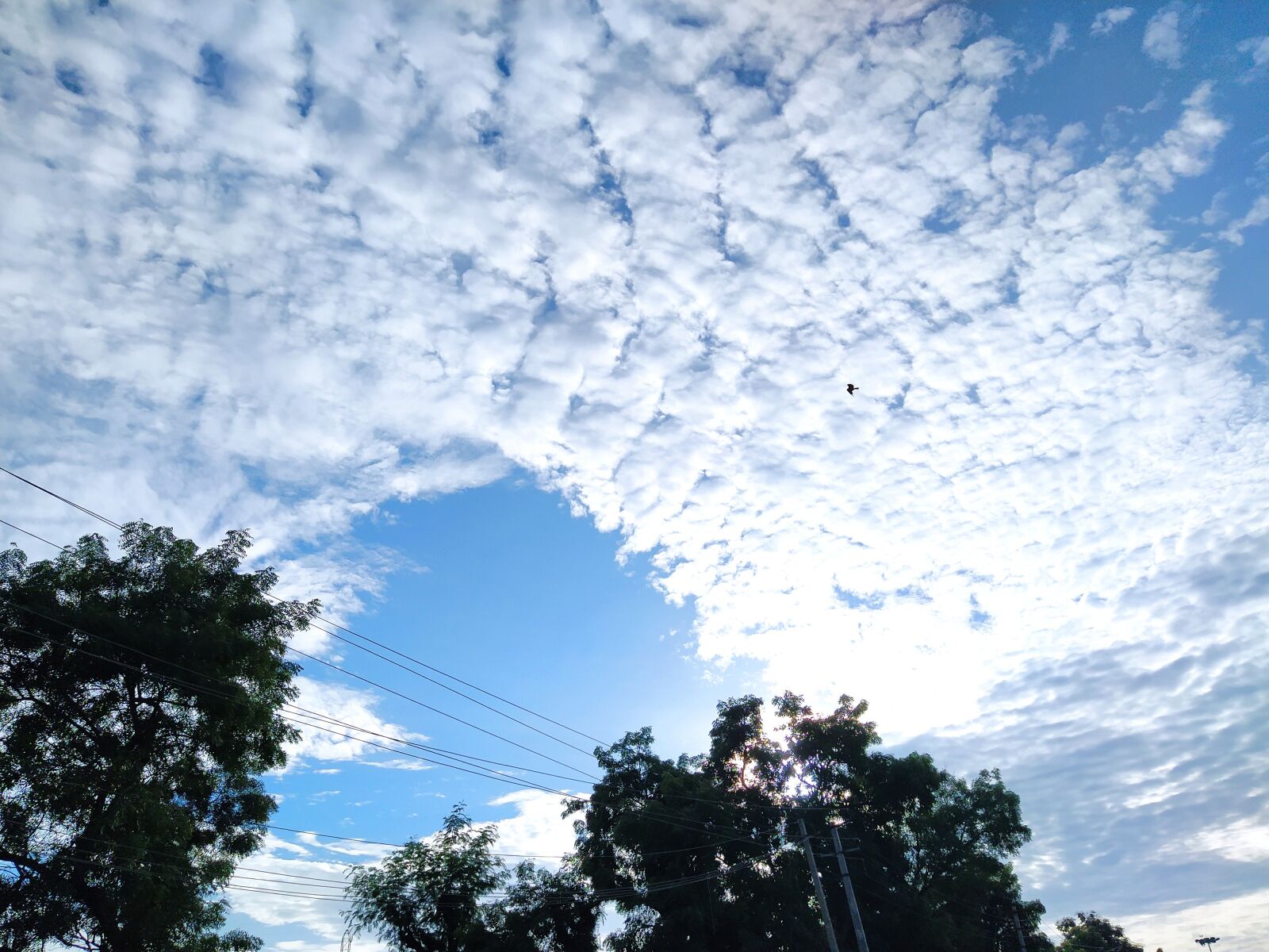 Xiaomi Mi A3 sample photo. Sky art, clouds, morning photography