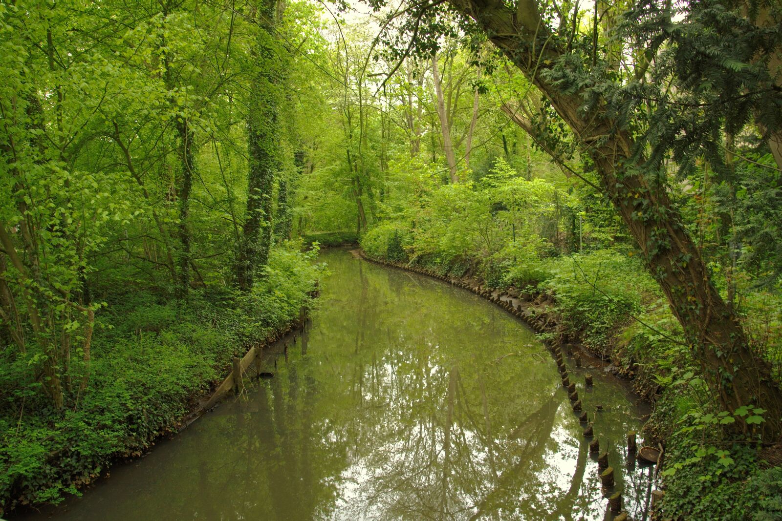 Nikon D5600 sample photo. River, water, landscape photography
