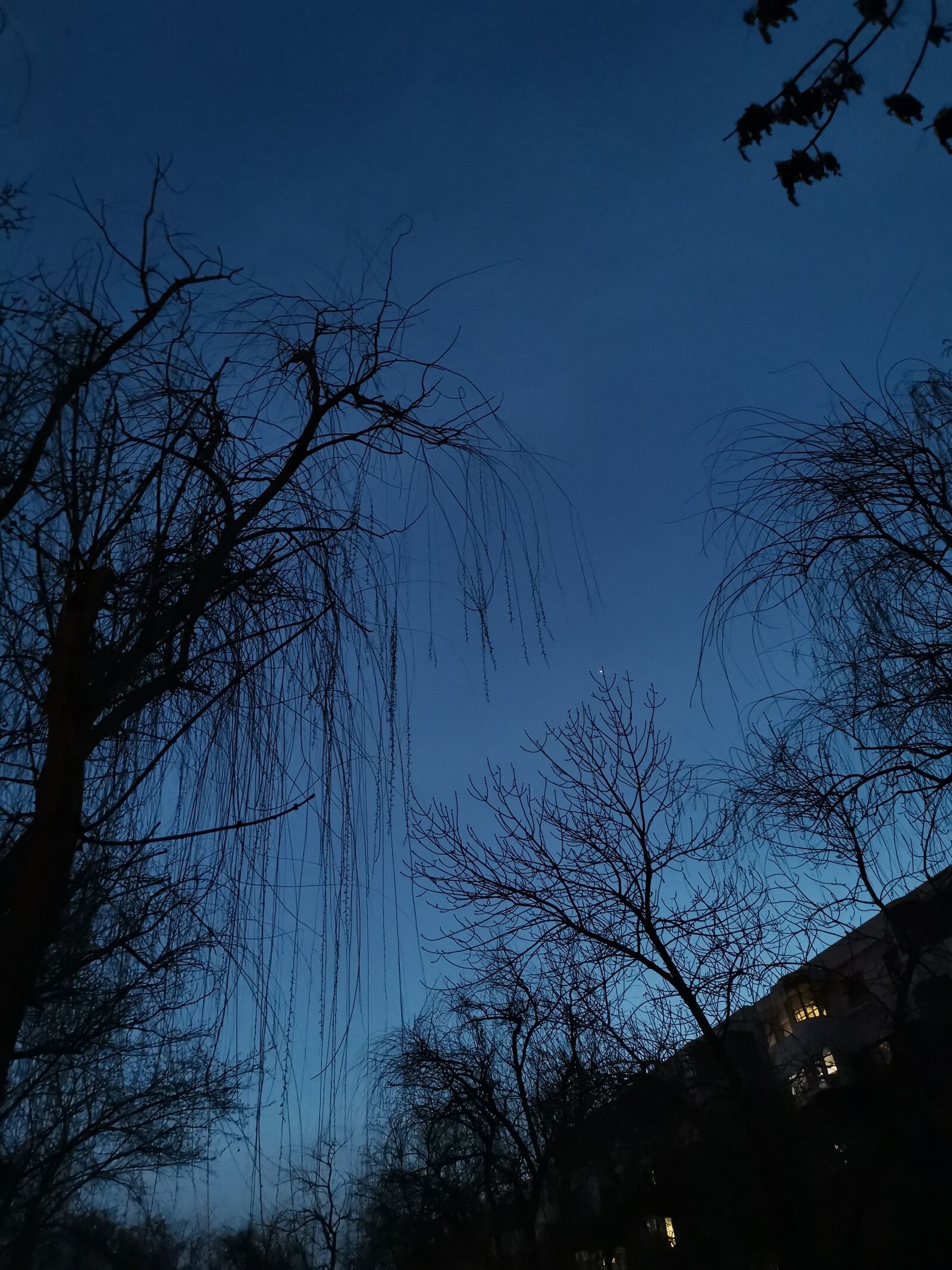 HUAWEI Mate 20 Pro sample photo. Blue sky, shadows, gradient photography