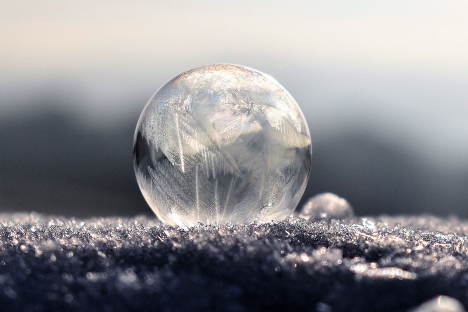 Nikon D5500 sample photo. Soap bubbles, frozen, frozen photography