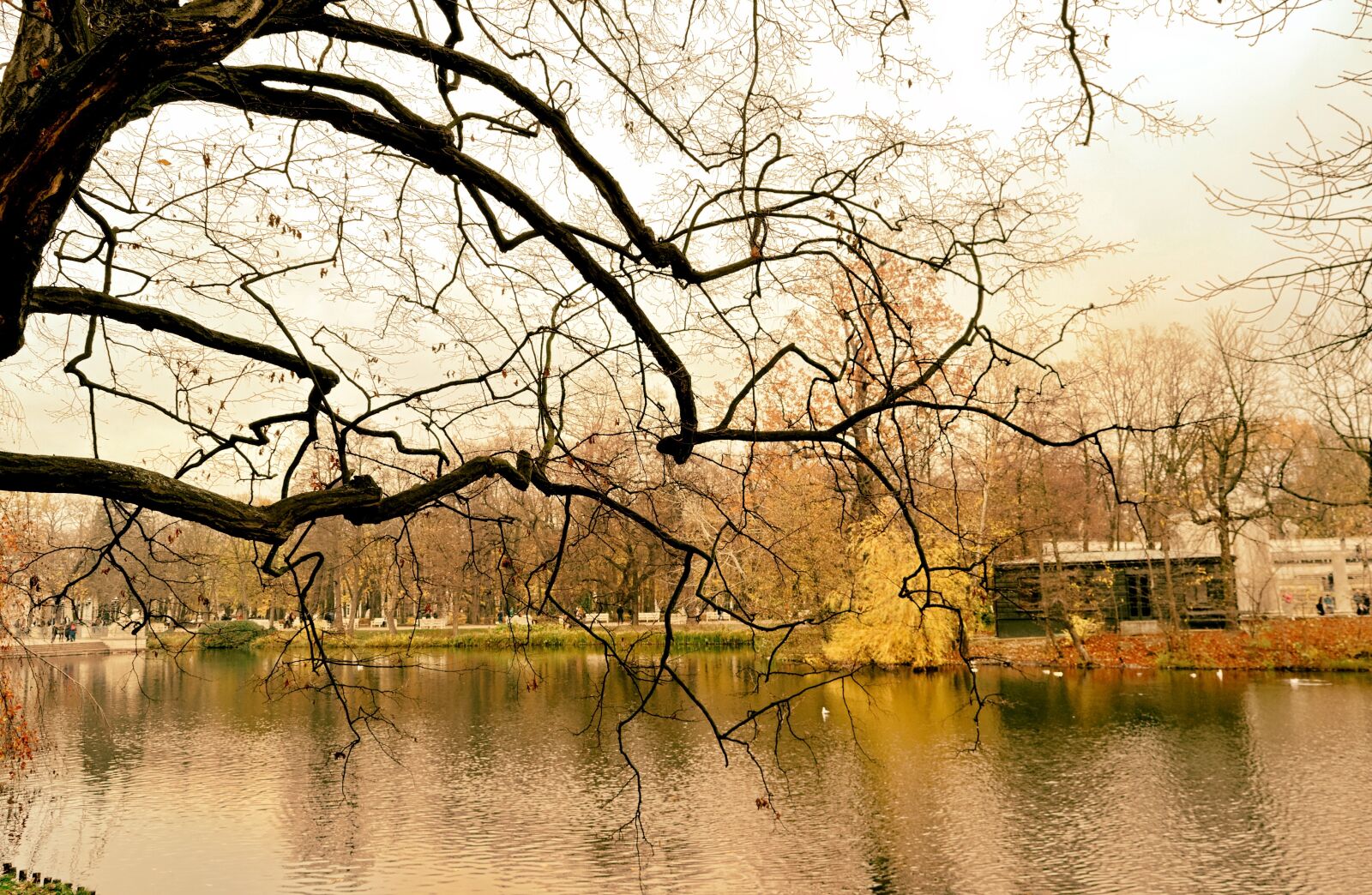 Nikon D3100 sample photo. Landscape, autumn, park photography