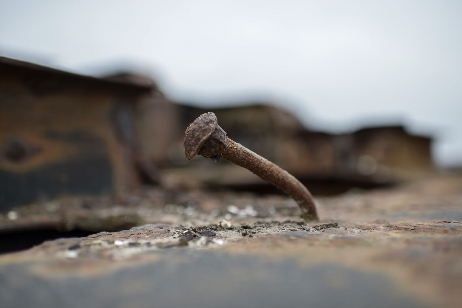 Nikon D800 sample photo. Nail, steel, outdoor photography