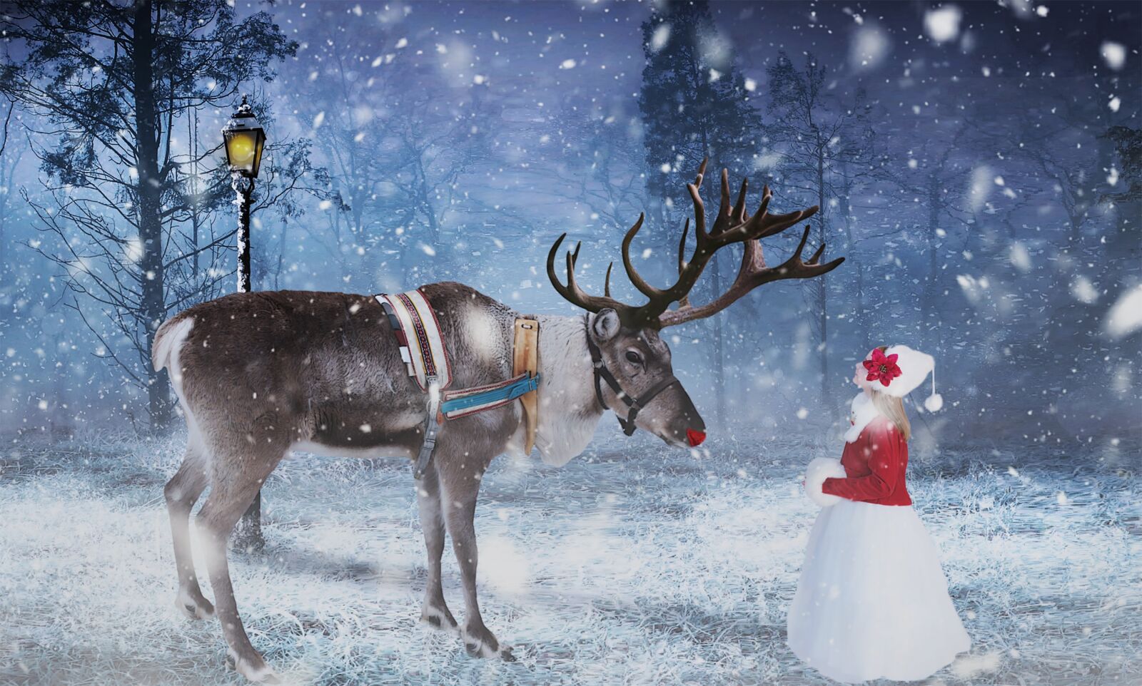 Nikon D80 sample photo. Reindeer, child, snow photography