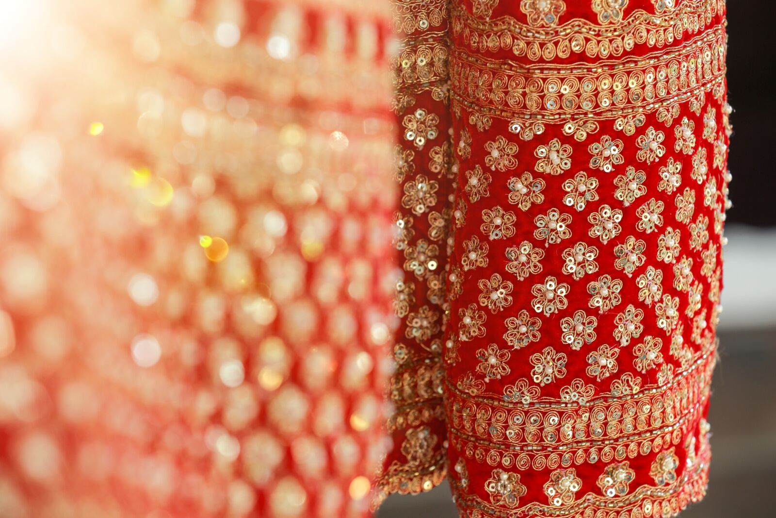 Canon EOS-1D X Mark II sample photo. Dress, indian dress, traditional photography
