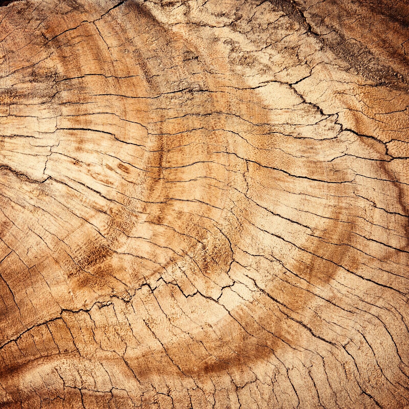 Nikon D700 sample photo. Abstract, antique, backdrop photography