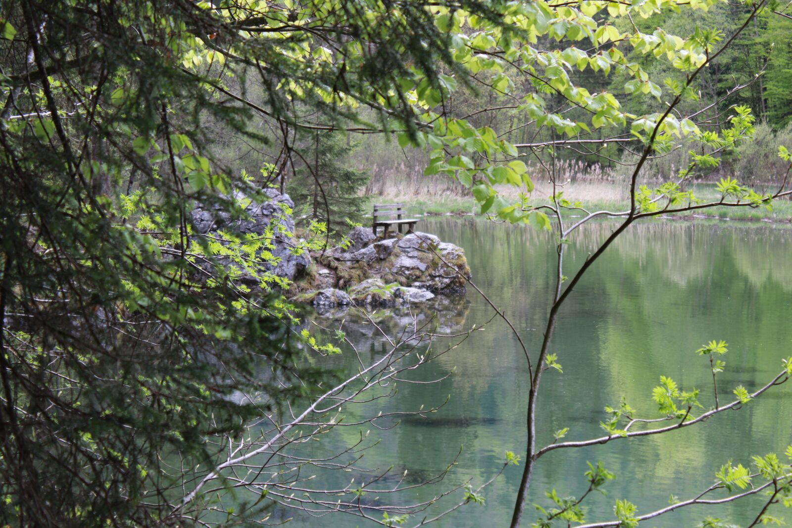 Canon EOS 1200D (EOS Rebel T5 / EOS Kiss X70 / EOS Hi) sample photo. Bank, lake, mountains photography