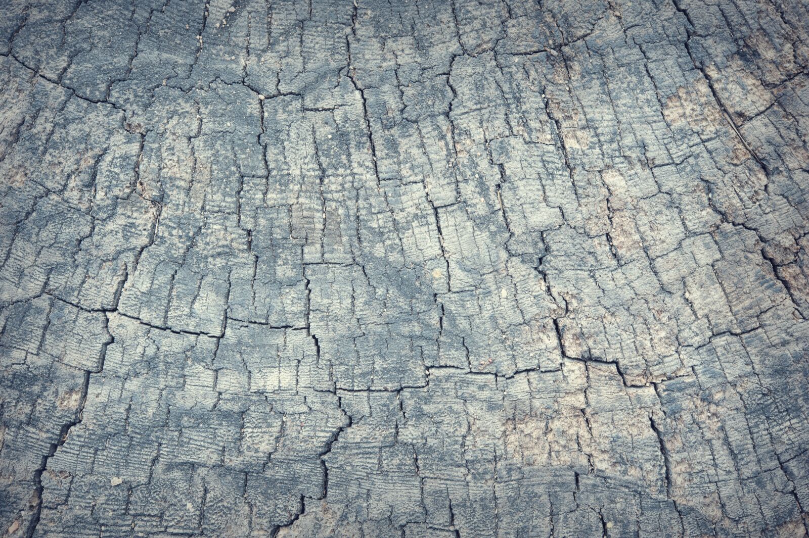 Nikon D700 sample photo. Abstract, antique, backdrop photography