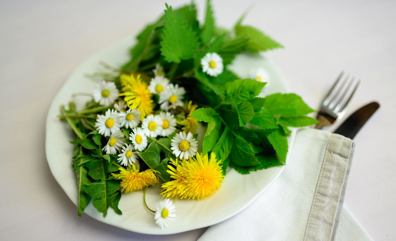 Nikon D610 sample photo. Herbs, edible herbs, natural photography