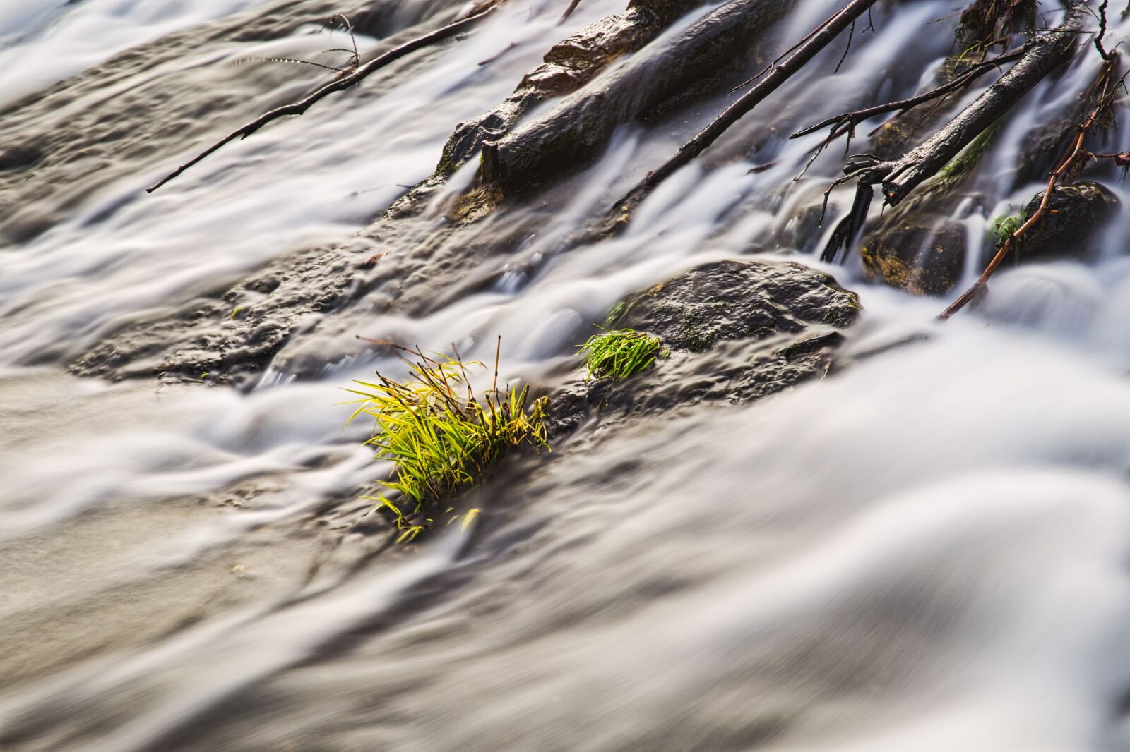 Canon EF 24-105mm F3.5-5.6 IS STM sample photo. Weir, water, tufts of photography