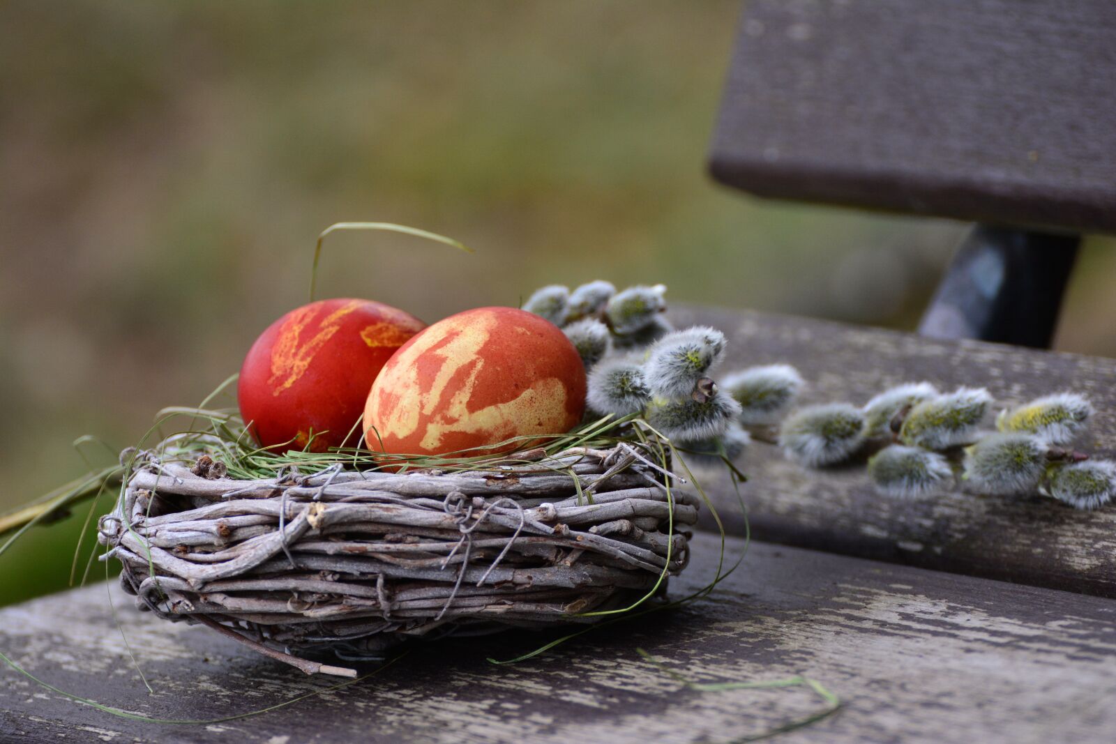 Nikon D5200 sample photo. Easter eggs, easter nest photography