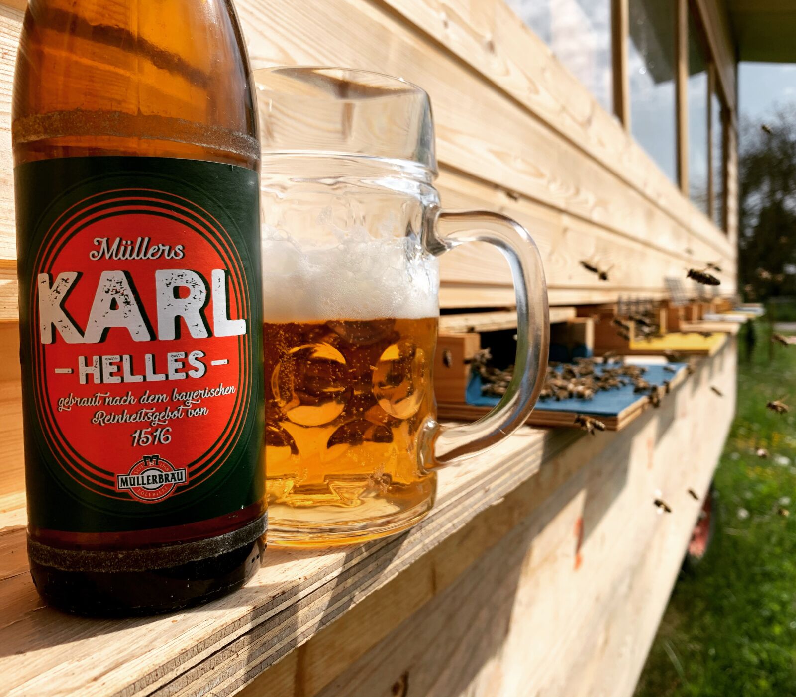 Apple iPhone XR sample photo. Bier, sommer, bienen photography
