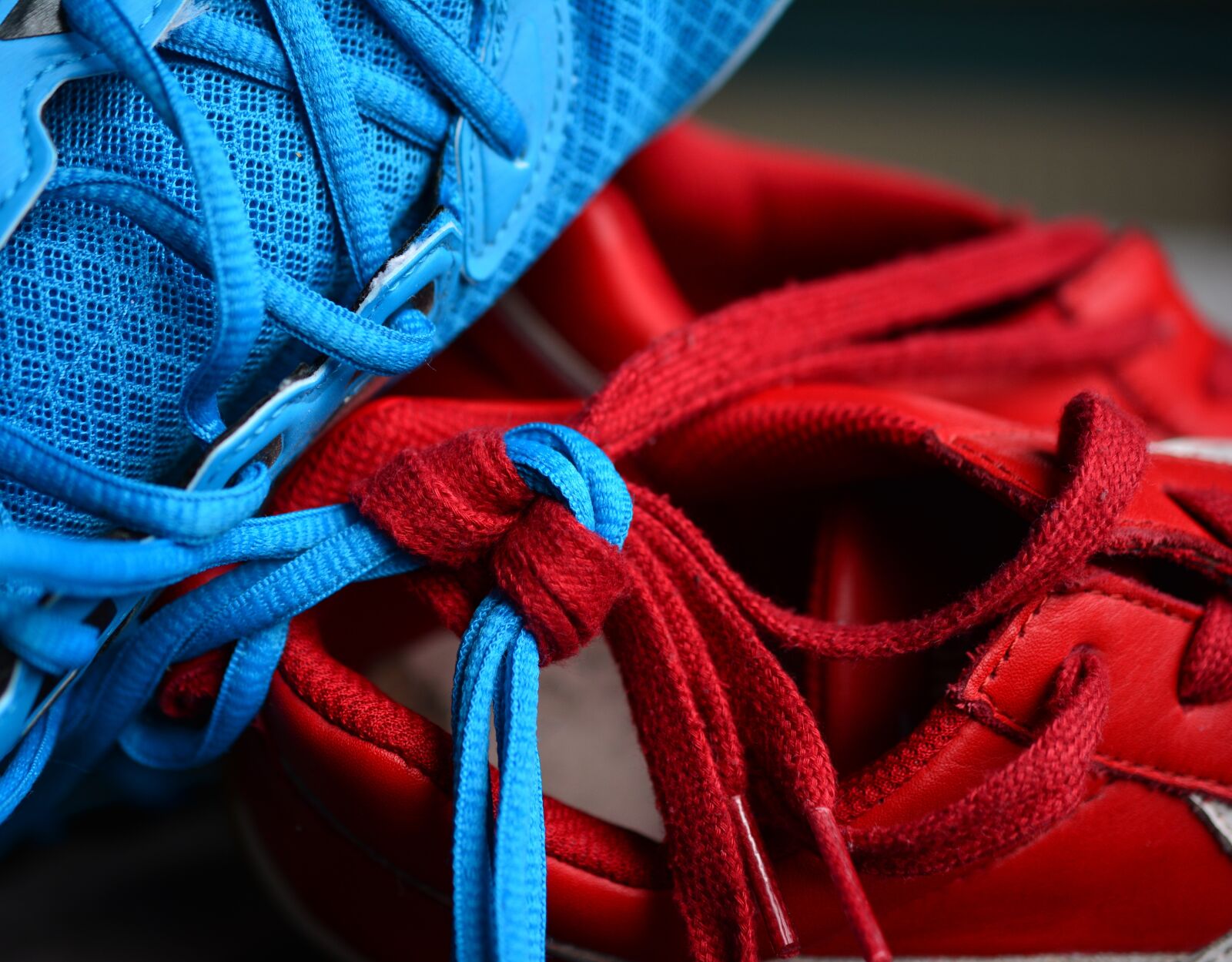 Nikon D5200 sample photo. Shoelace, knot, knotted photography