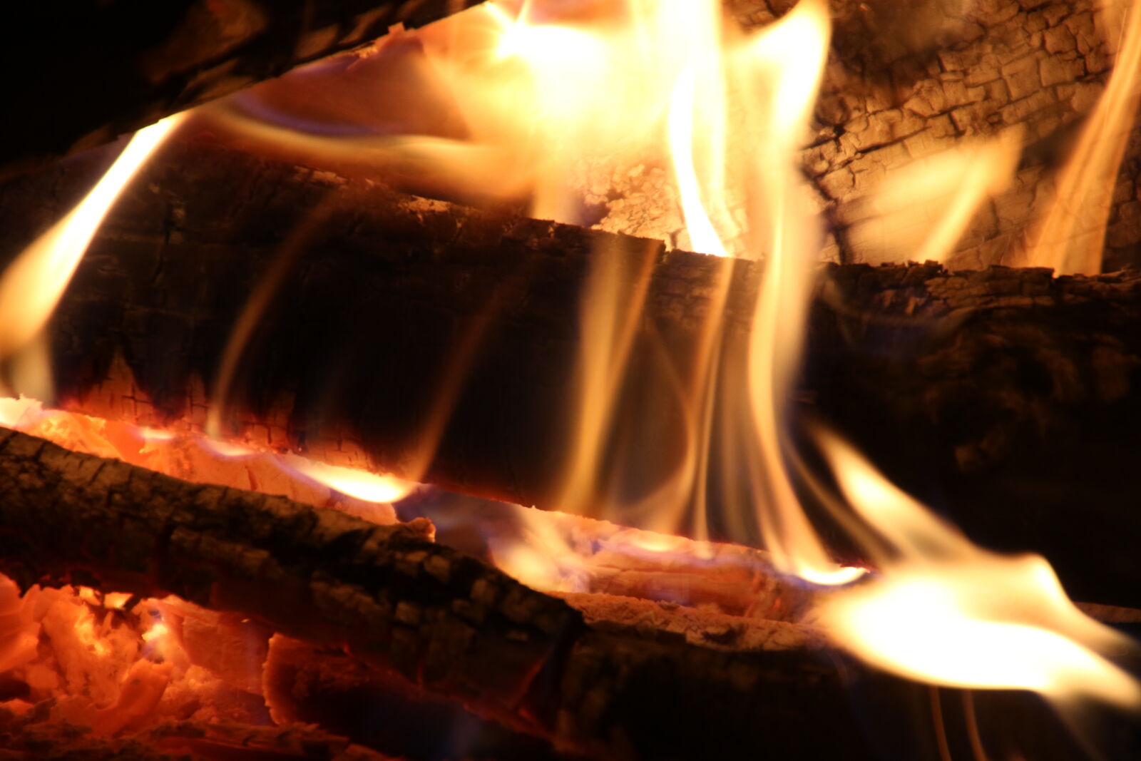 Canon EOS 7D Mark II sample photo. Bonfire, braai, burn, chill photography