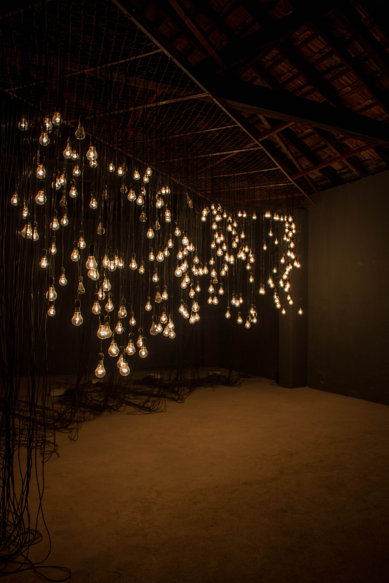 Canon EOS 70D sample photo. Art, art, installation, bulbs photography