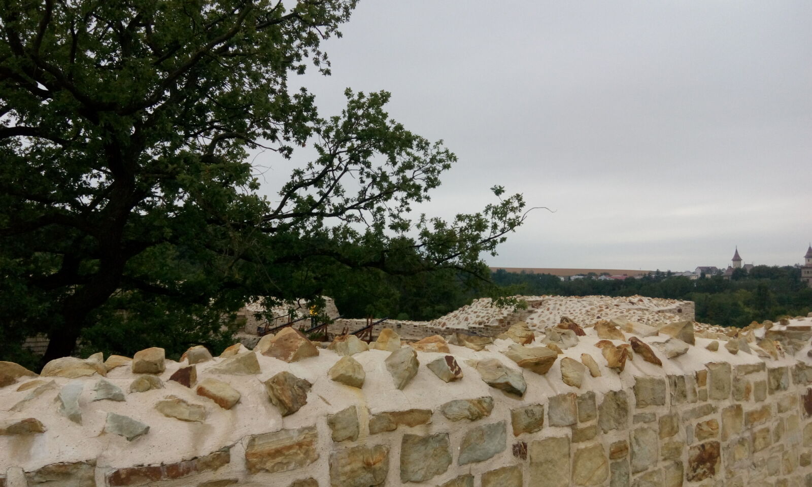 HTC DESIRE 816G DUAL SIM sample photo