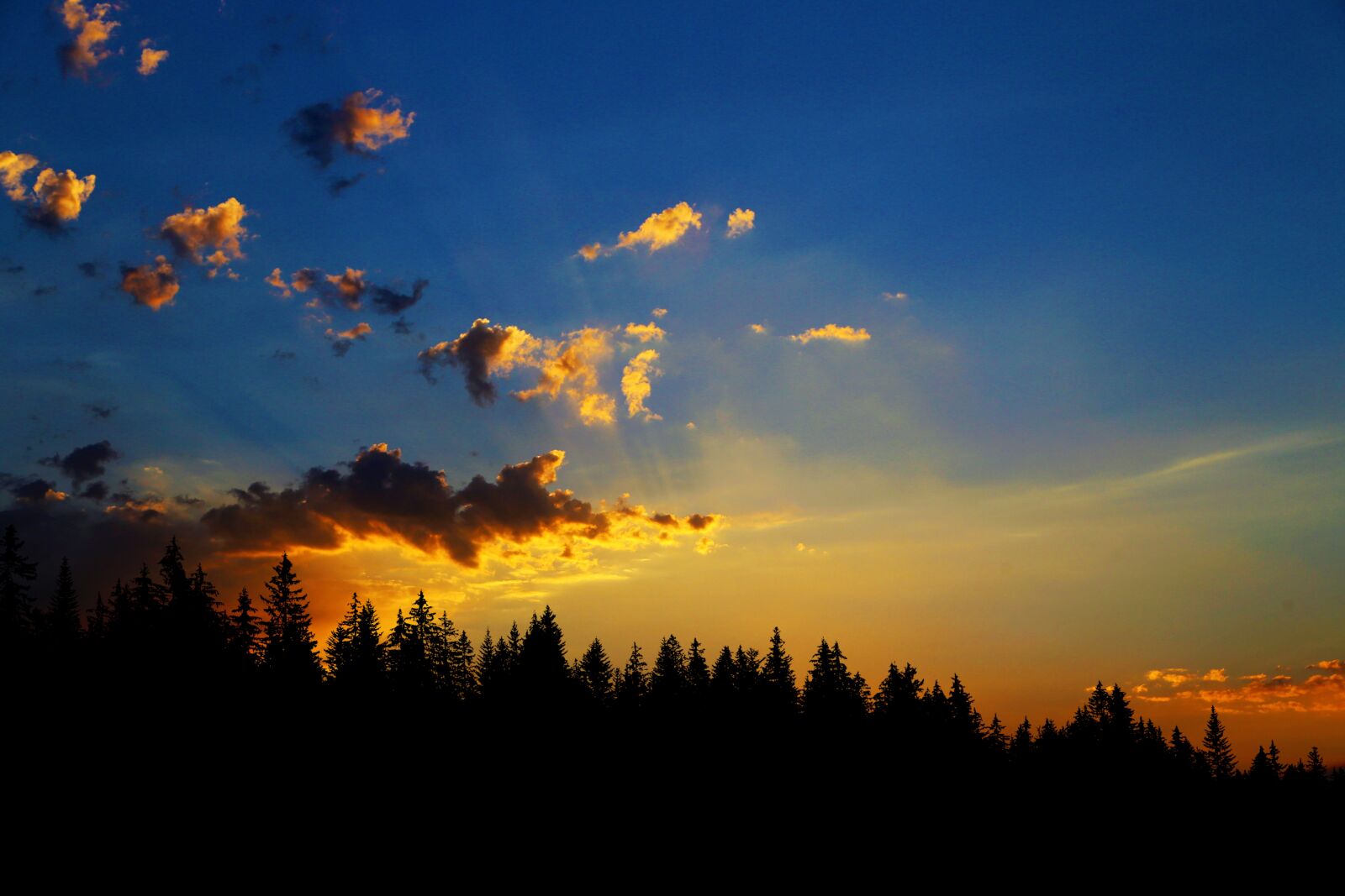 Canon EOS 6D + Canon EF 24-105mm F4L IS USM sample photo. Sunset, silhouette, conifer forest photography