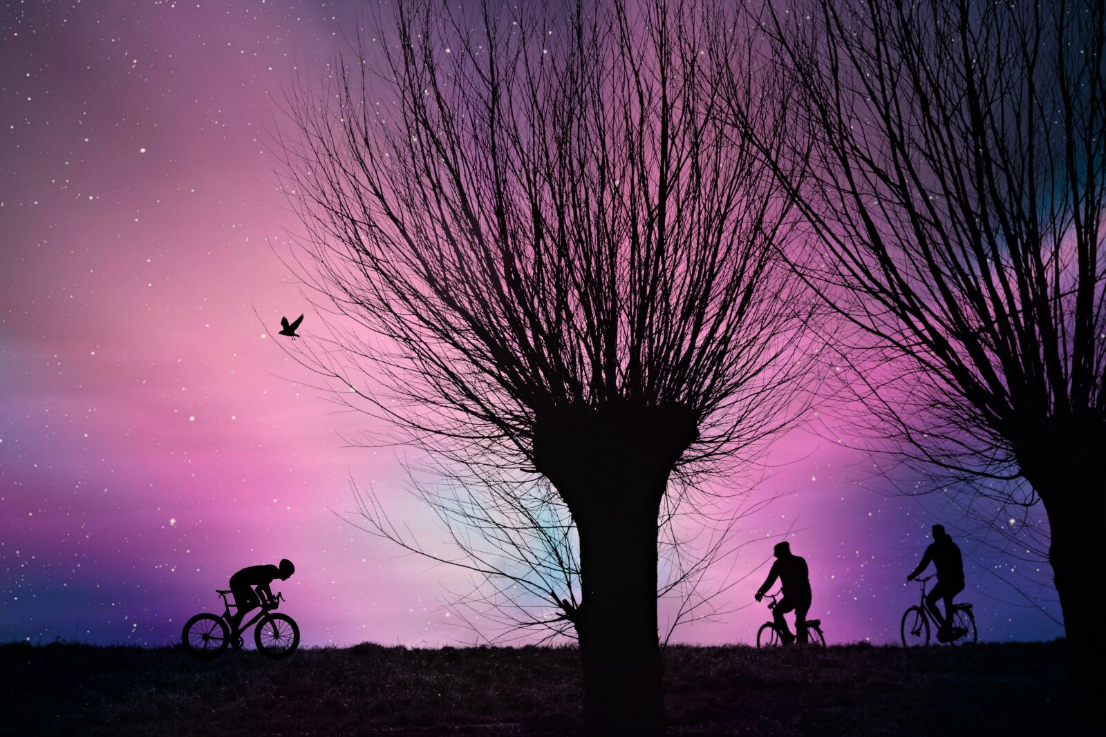 Sony Cyber-shot DSC-RX100 sample photo. Tree, road, cyclist photography