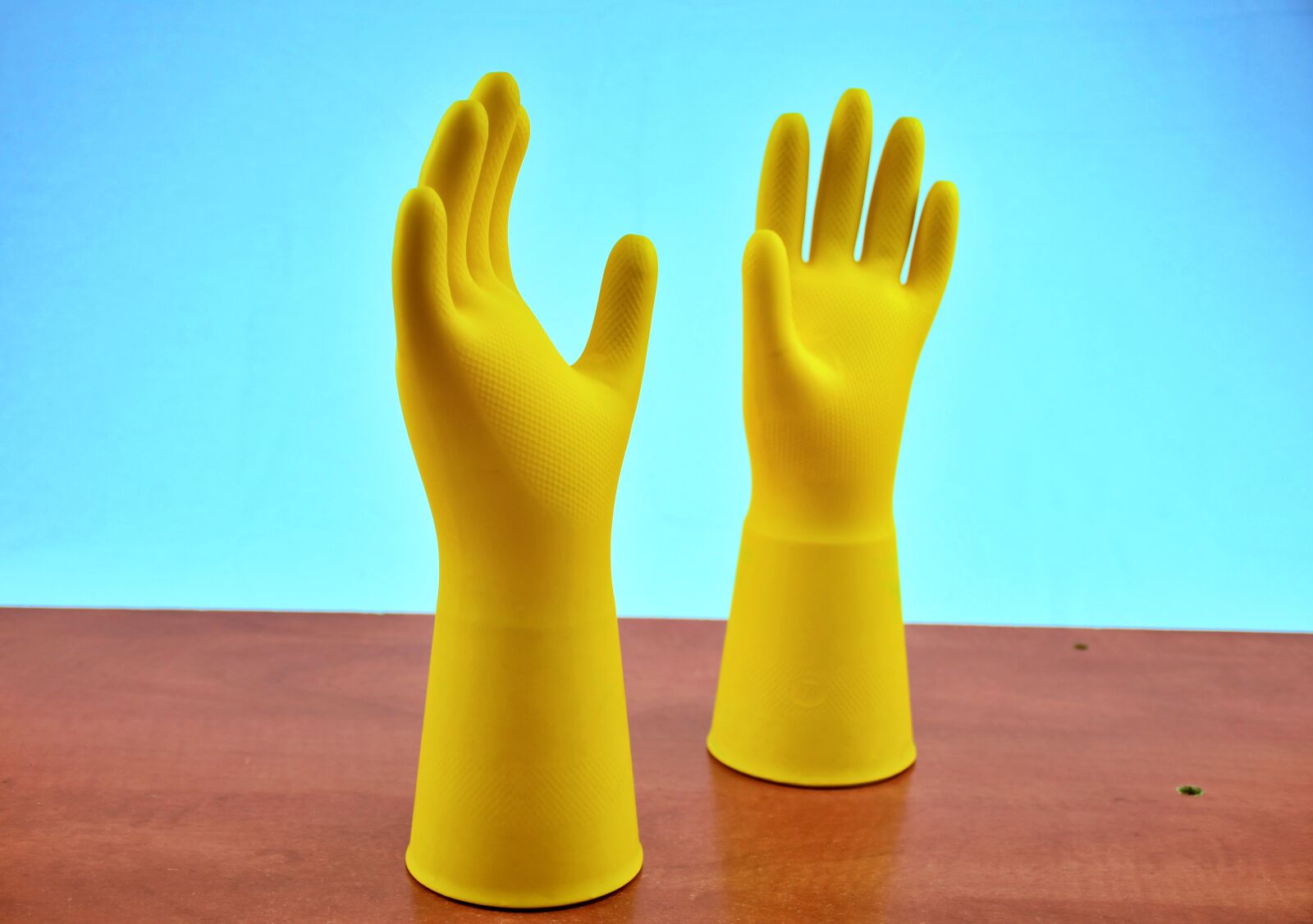 Nikon D7500 sample photo. Gloves, cleaning, toilet photography