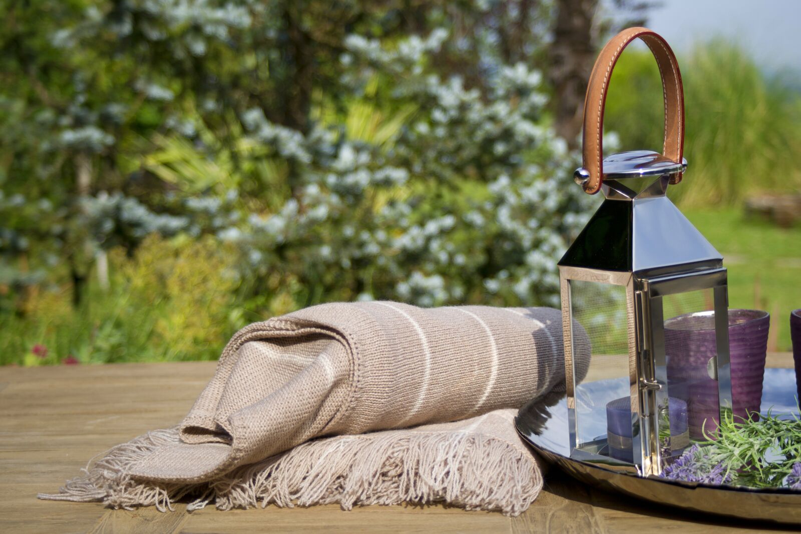 Sony Alpha DSLR-A850 sample photo. Table, decor, background photography