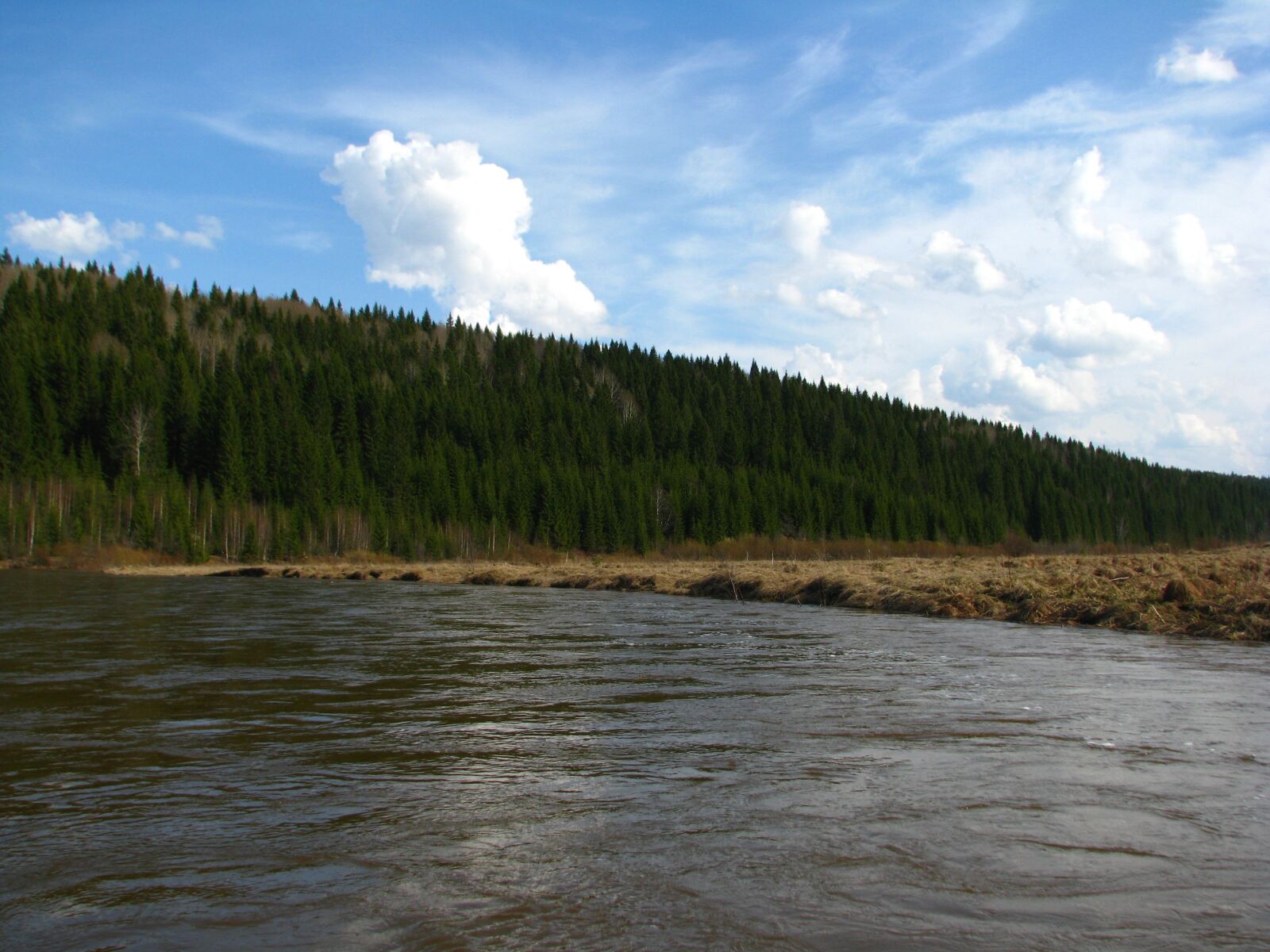 Canon POWERSHOT S5 IS sample photo. Alloy, the river koiva photography