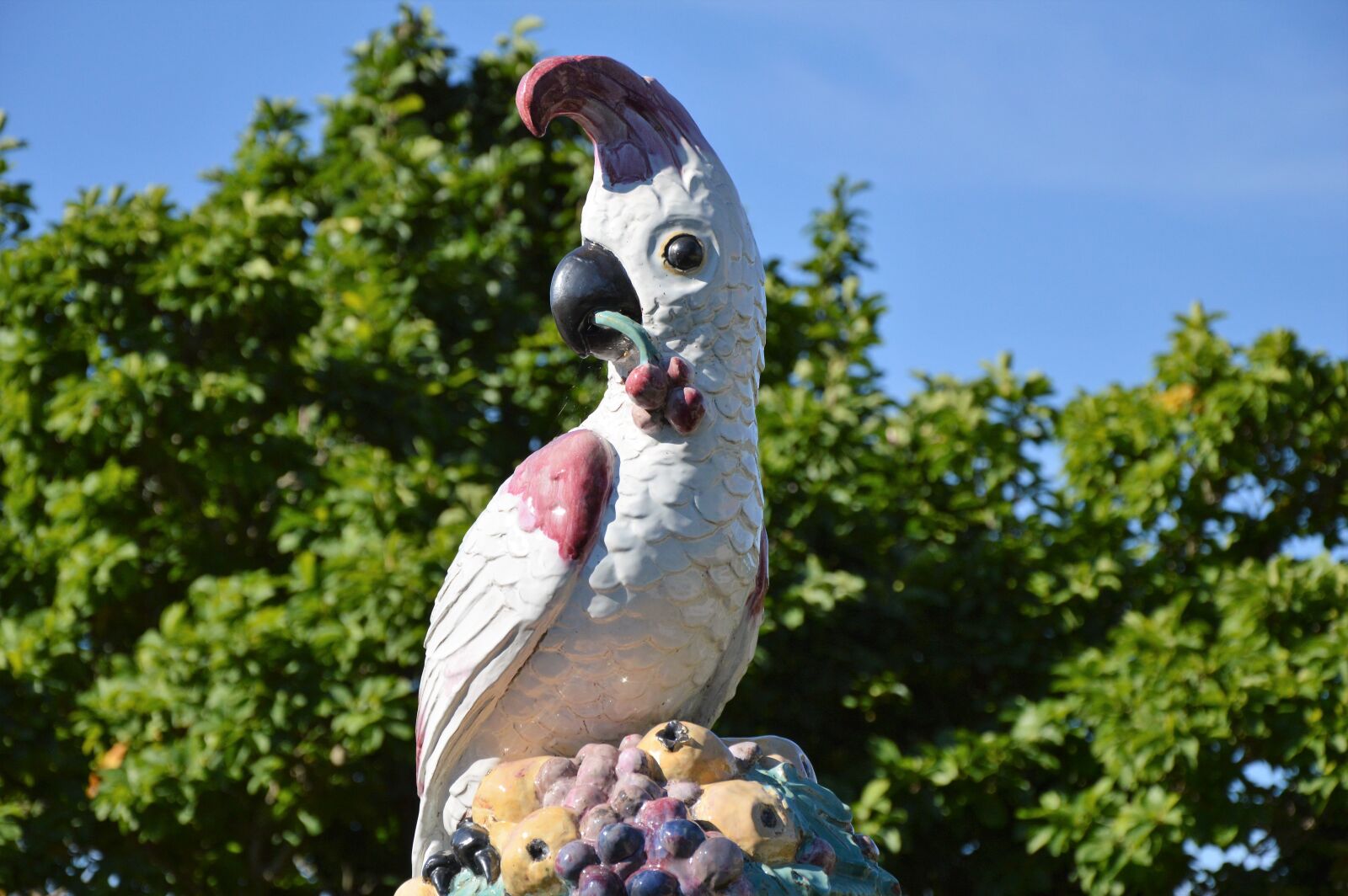 Nikon D3200 sample photo. Parrot, figure, deco photography