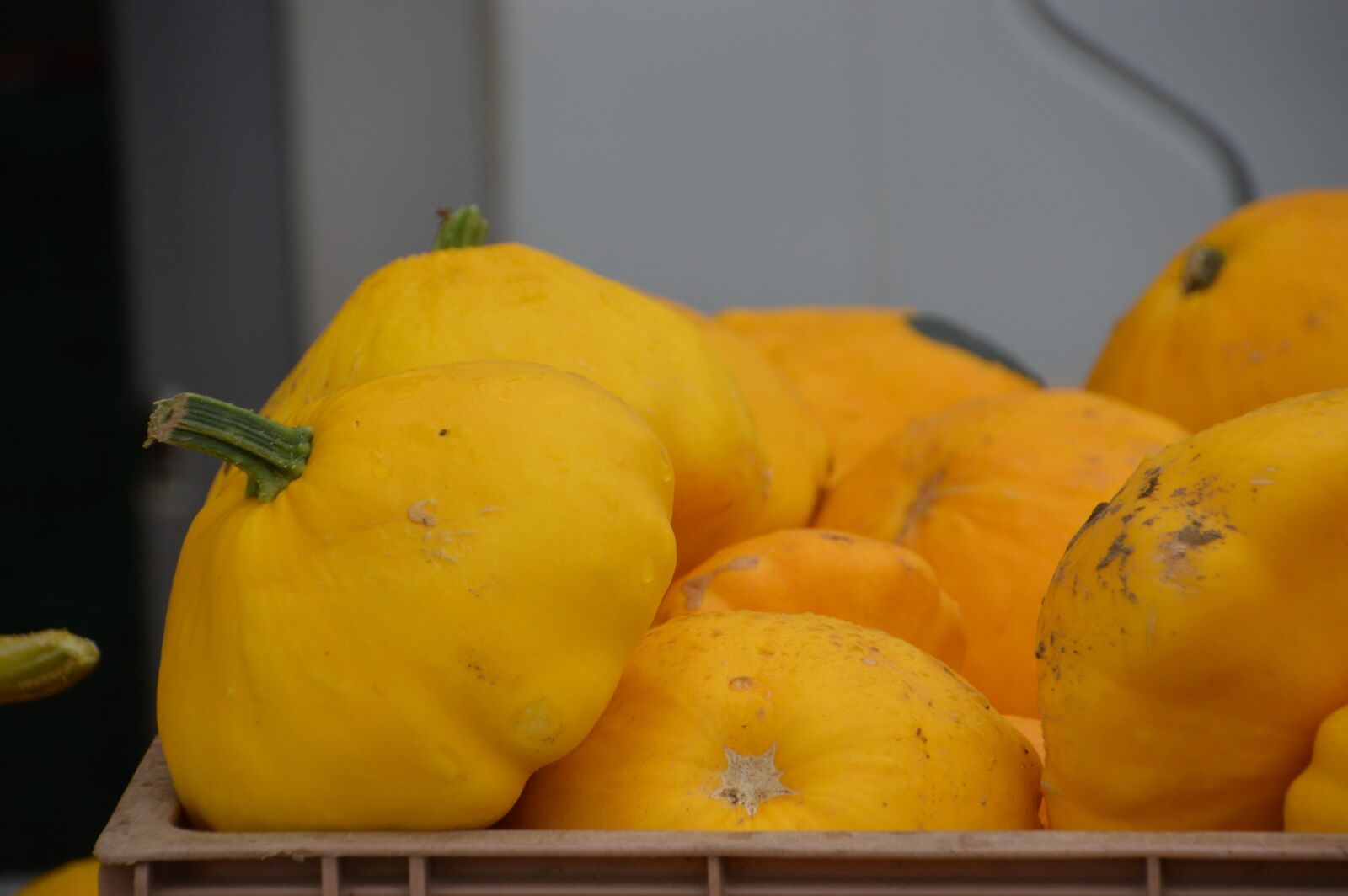 Nikon D3200 sample photo. Winter squash, fruit, genus photography