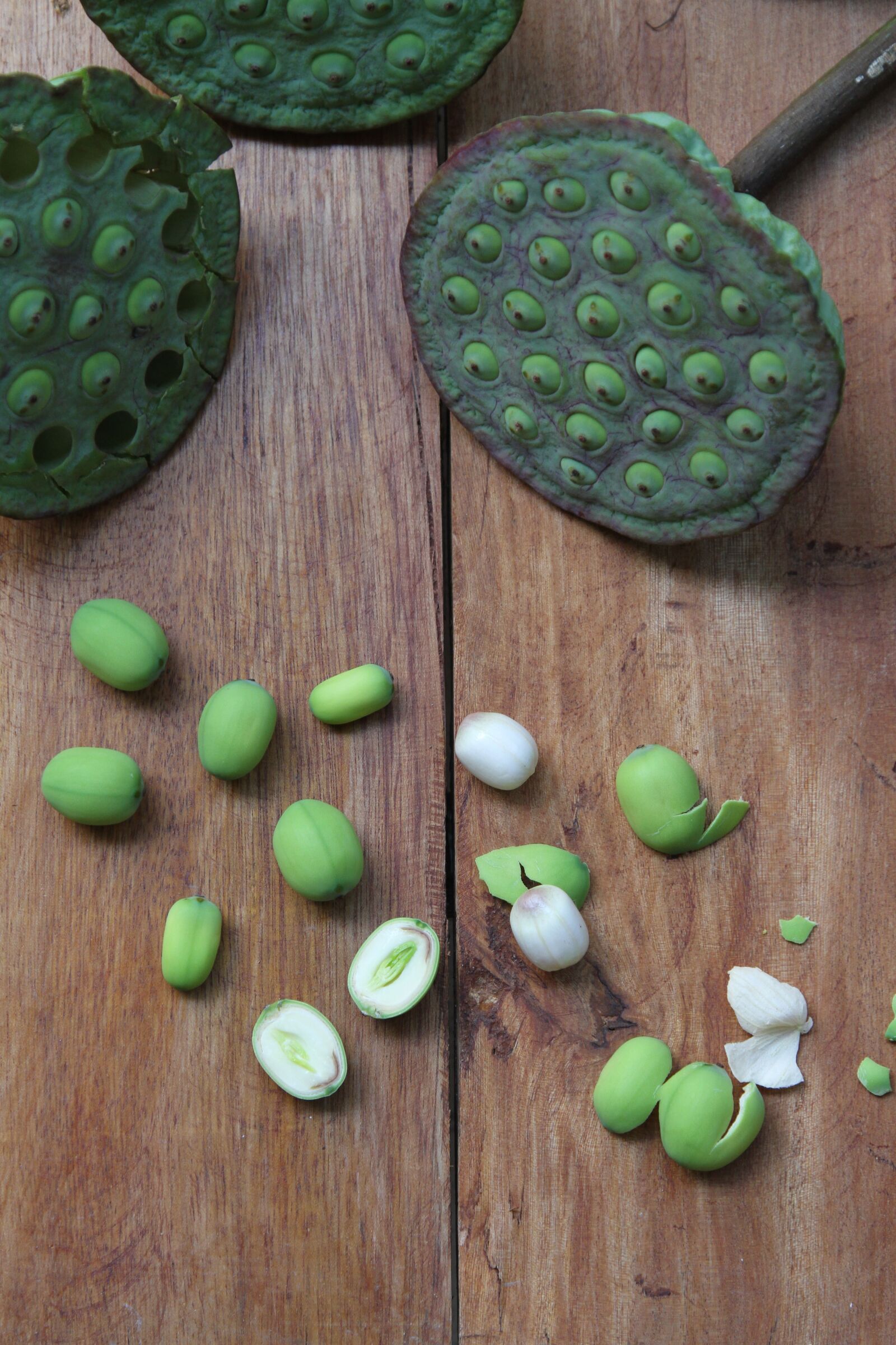 Canon EOS 7D sample photo. Lotus, seed, green photography