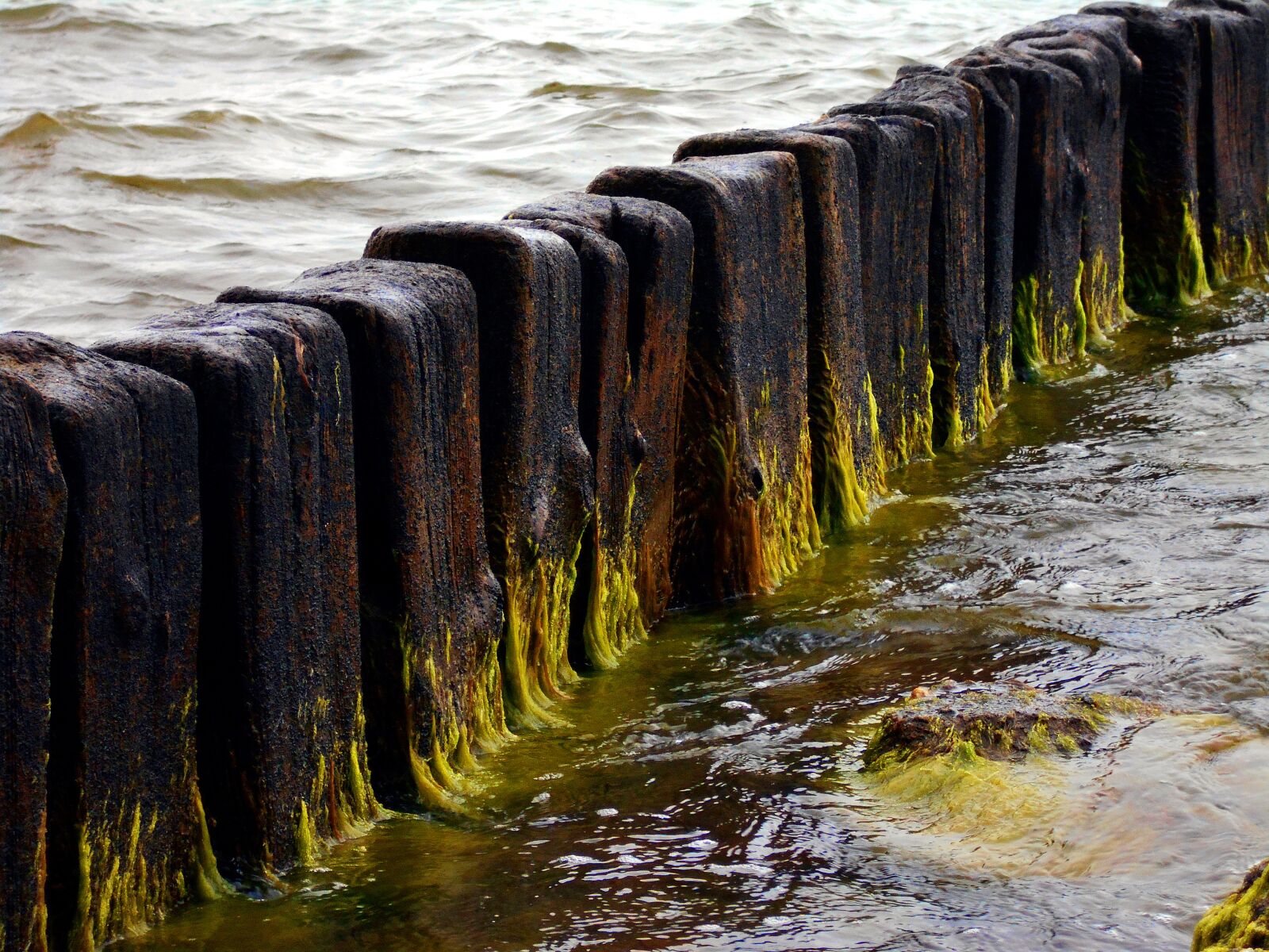 Nikon Coolpix S2900 sample photo. Breakwater, sea, seaweed photography