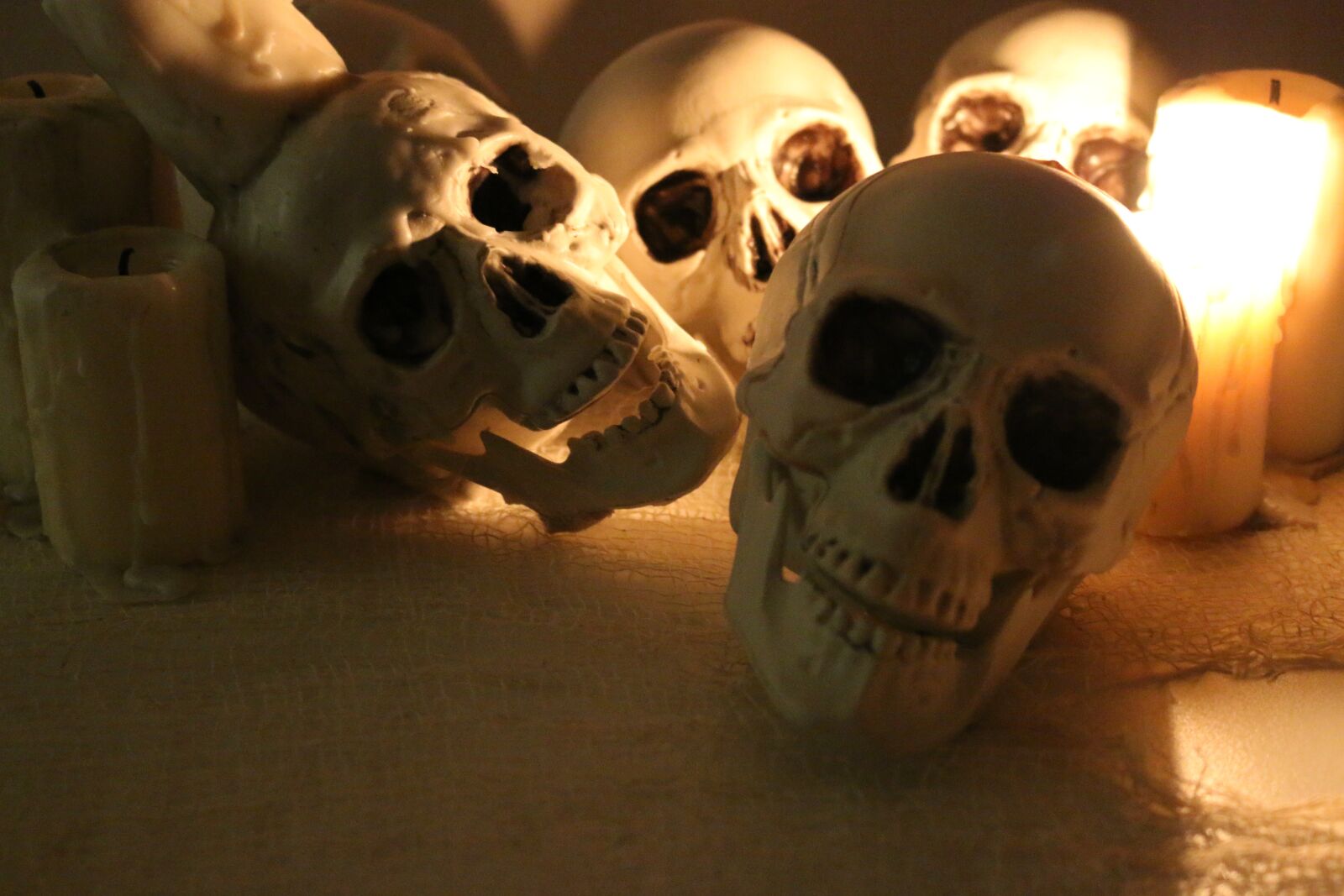 Canon EOS 70D sample photo. Skulls, skull allover, halloween photography