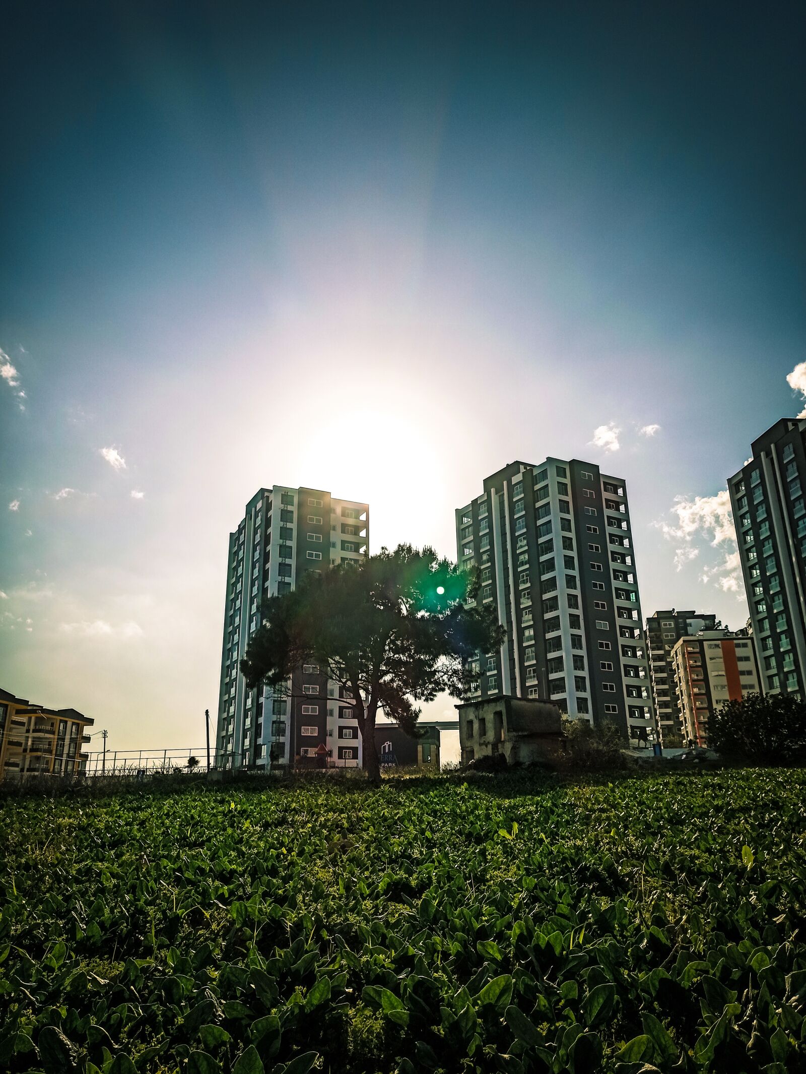 Xiaomi Redmi Note 8 Pro sample photo. Life, nature, city photography
