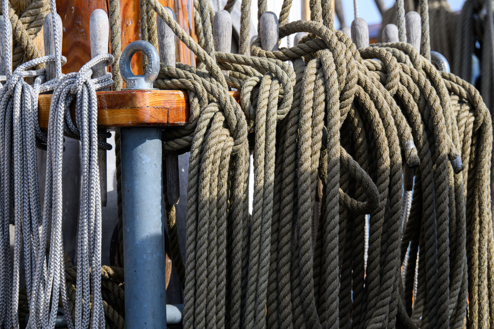 Nikon Z8 sample photo. Boat ropes photography