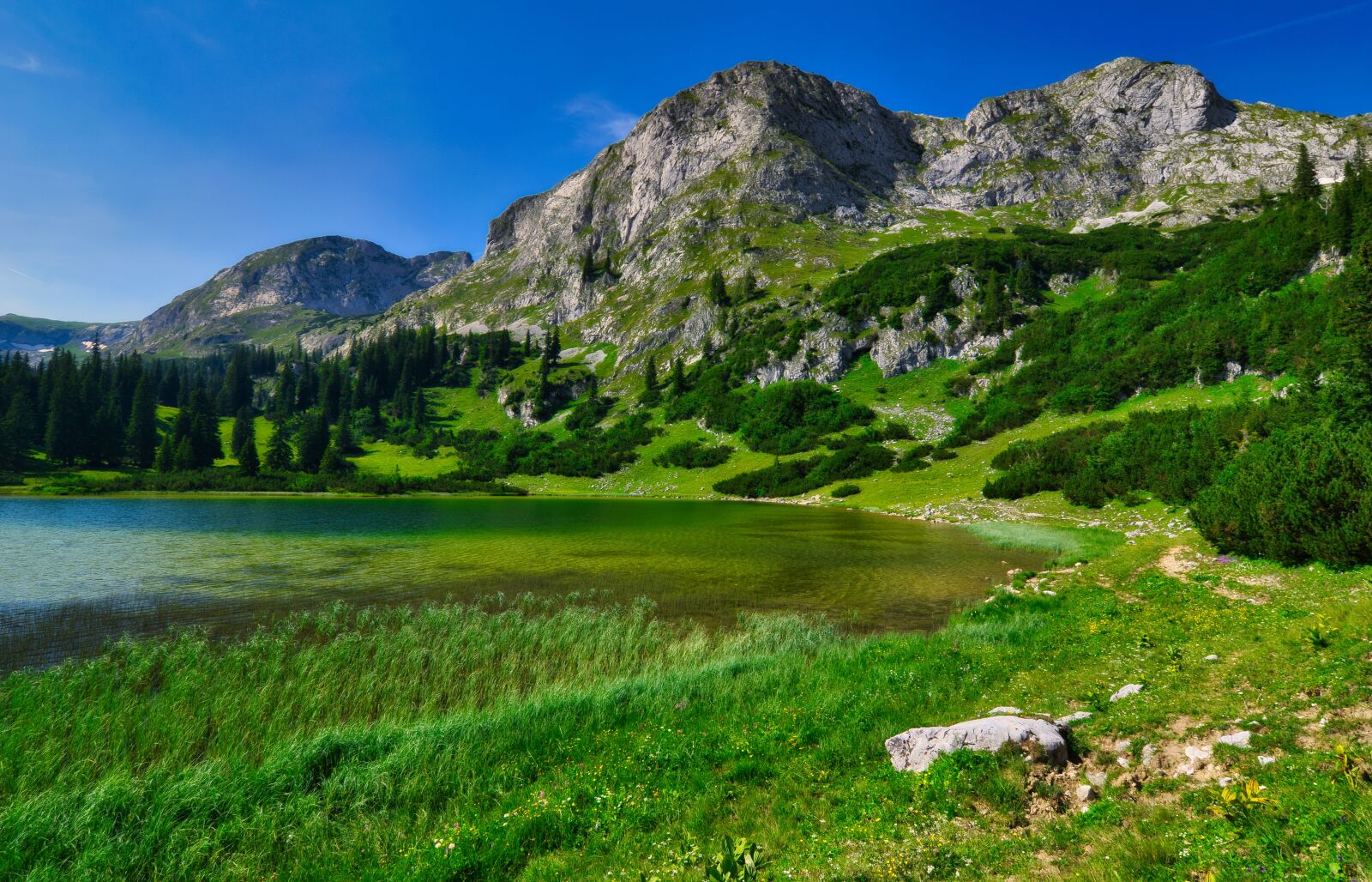 Nikon D5300 sample photo. Landscape, nature, rest photography
