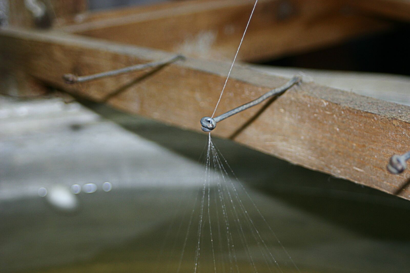 Canon EOS 300D (EOS Digital Rebel / EOS Kiss Digital) sample photo. Silk thread, silkworm, thread photography