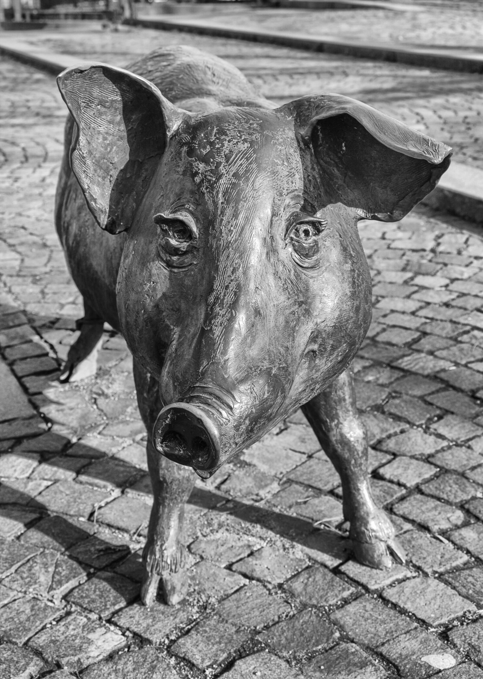Canon EOS 700D (EOS Rebel T5i / EOS Kiss X7i) sample photo. Pig, bronze statue, sow photography