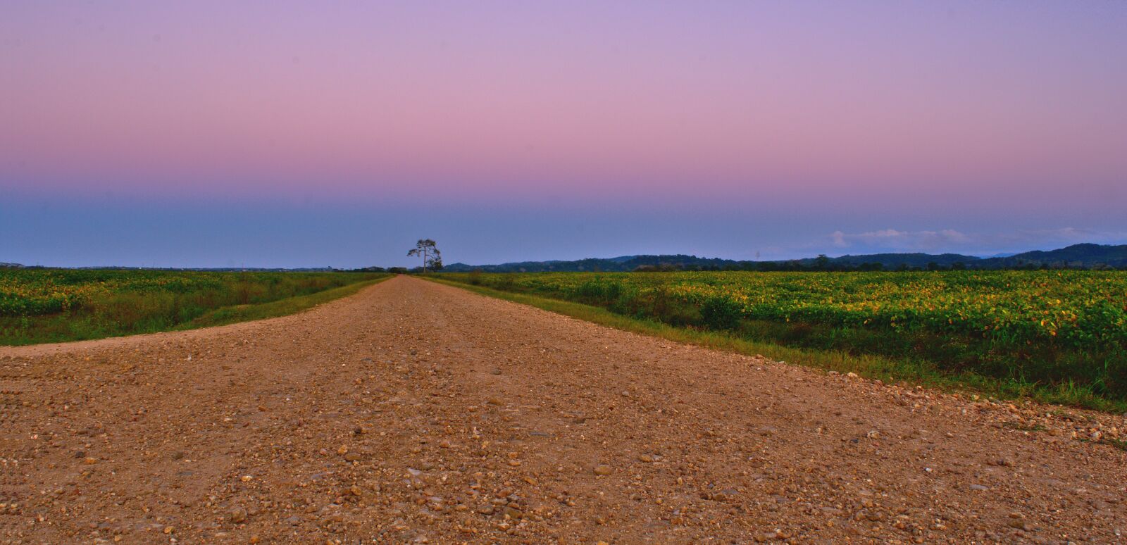 Nikon D7200 sample photo. Nature, outdoors, sky photography