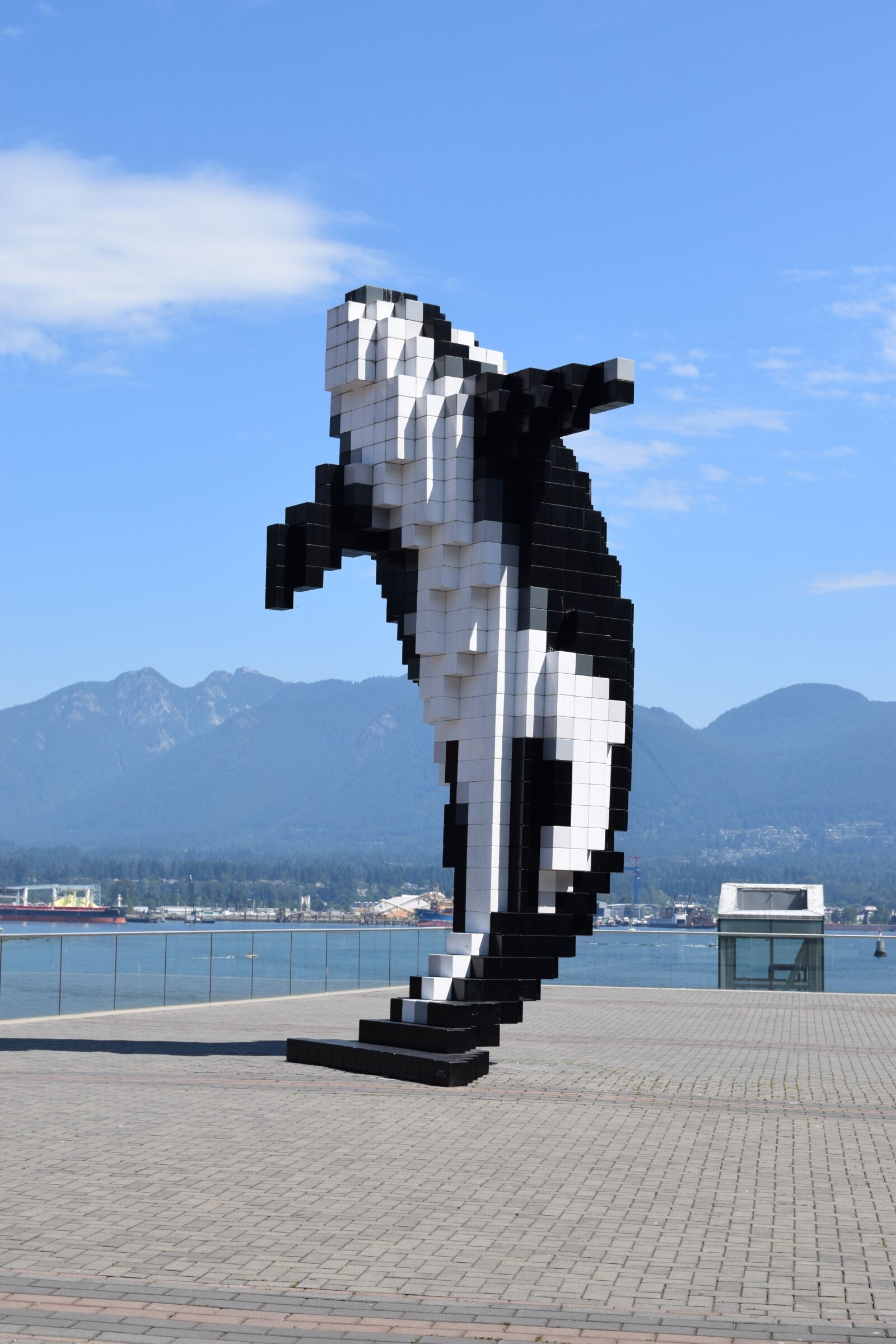 Nikon D3300 sample photo. Whale, vancouver, mountains photography