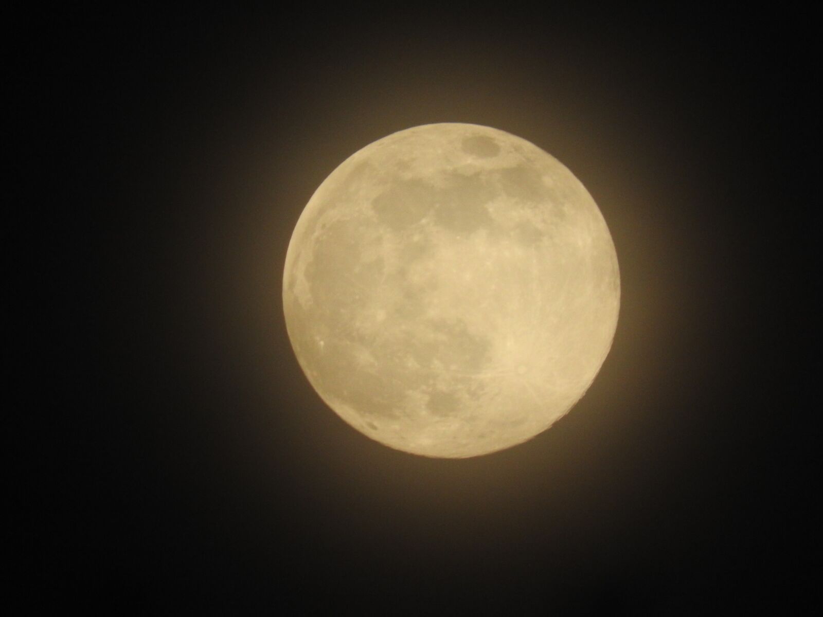 Nikon Coolpix P610 sample photo. Nature, night, moon photography