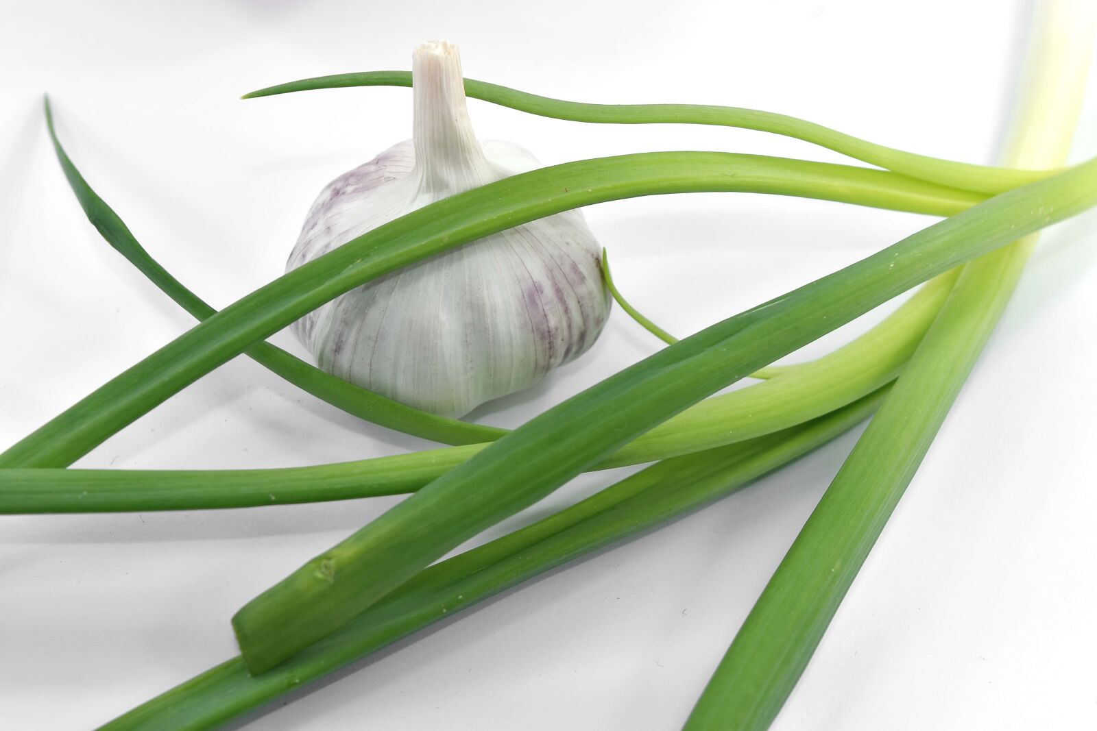 Nikon D5500 sample photo. Garlic, green leaves, leek photography