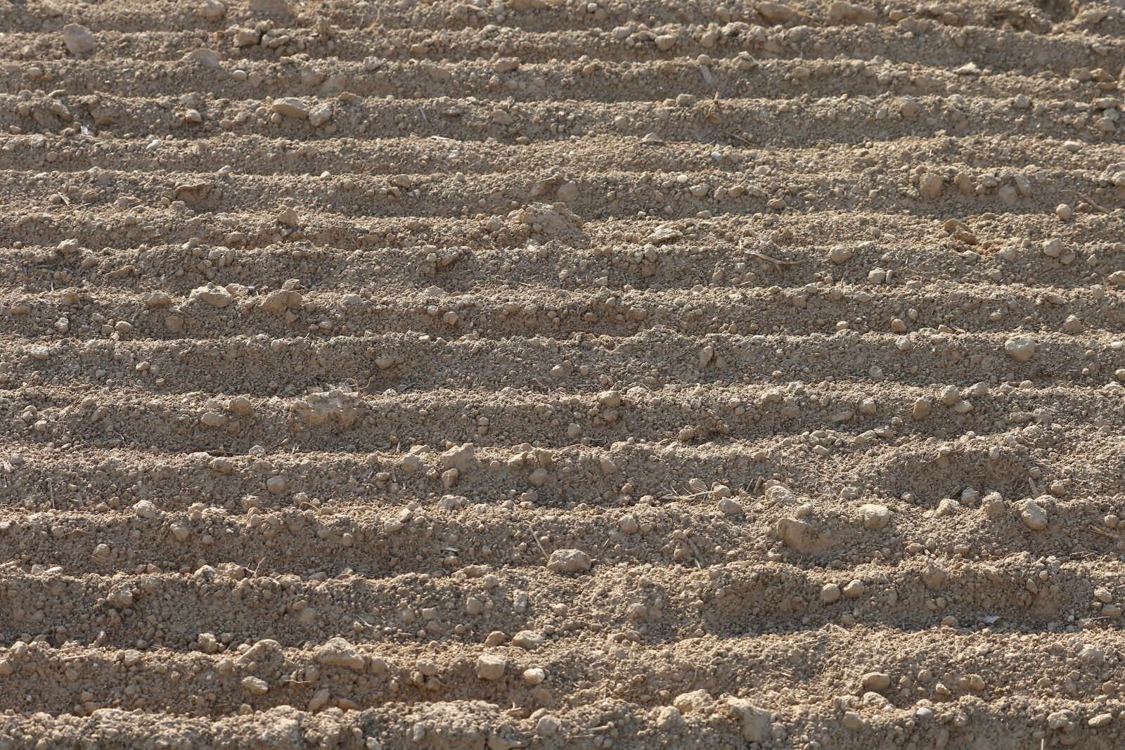 Canon EF 70-300 F4-5.6 IS II USM sample photo. Earth, soil, ground photography