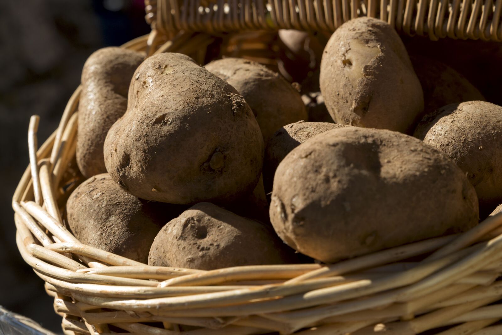 Canon EOS 6D sample photo. Potatoes, food, vegetables photography