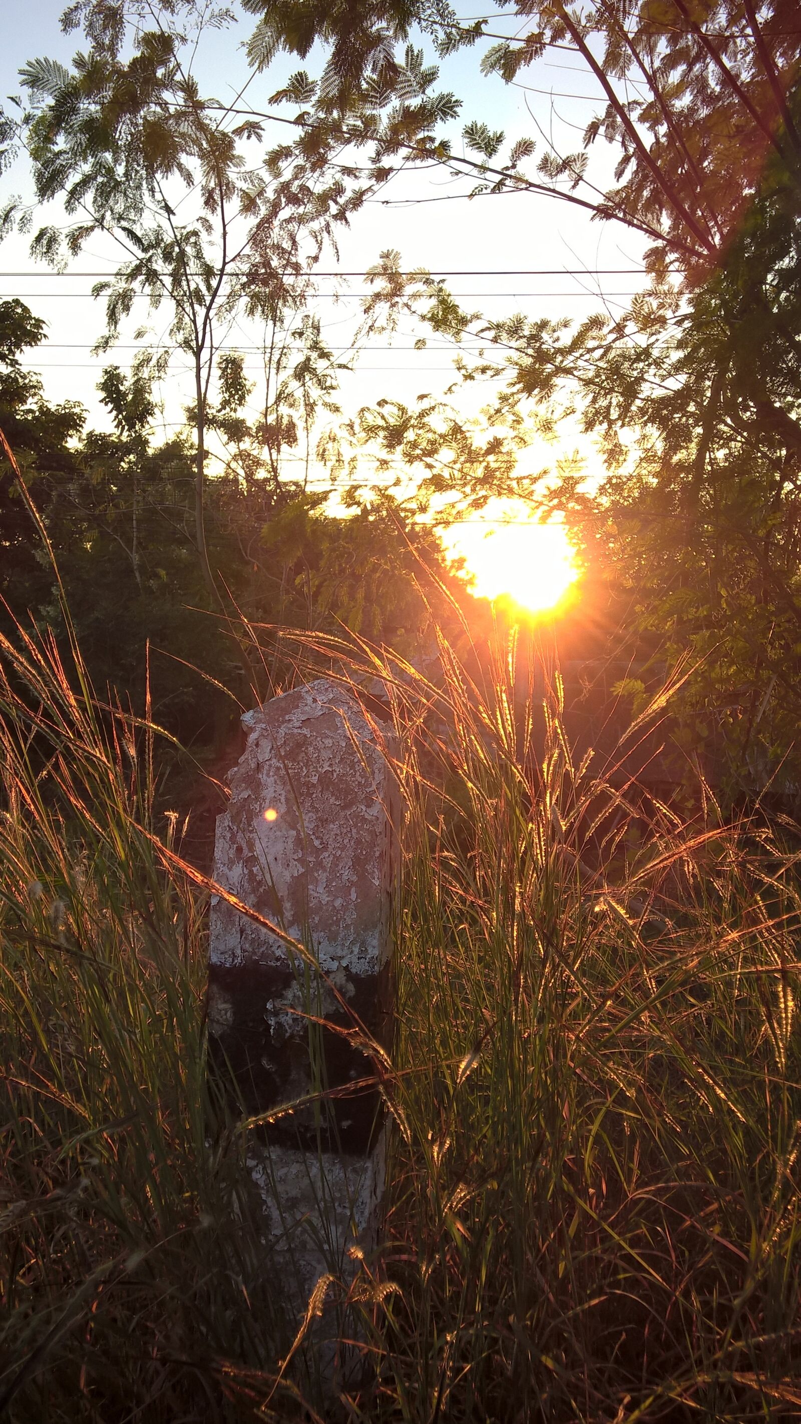 Nokia Lumia 830 sample photo. Evening, sunset, last light photography