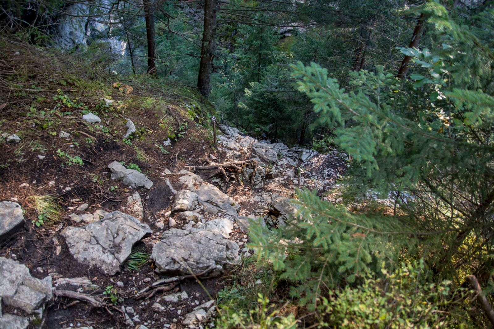Nikon D7100 sample photo. Tatry, ko cieliska valley photography