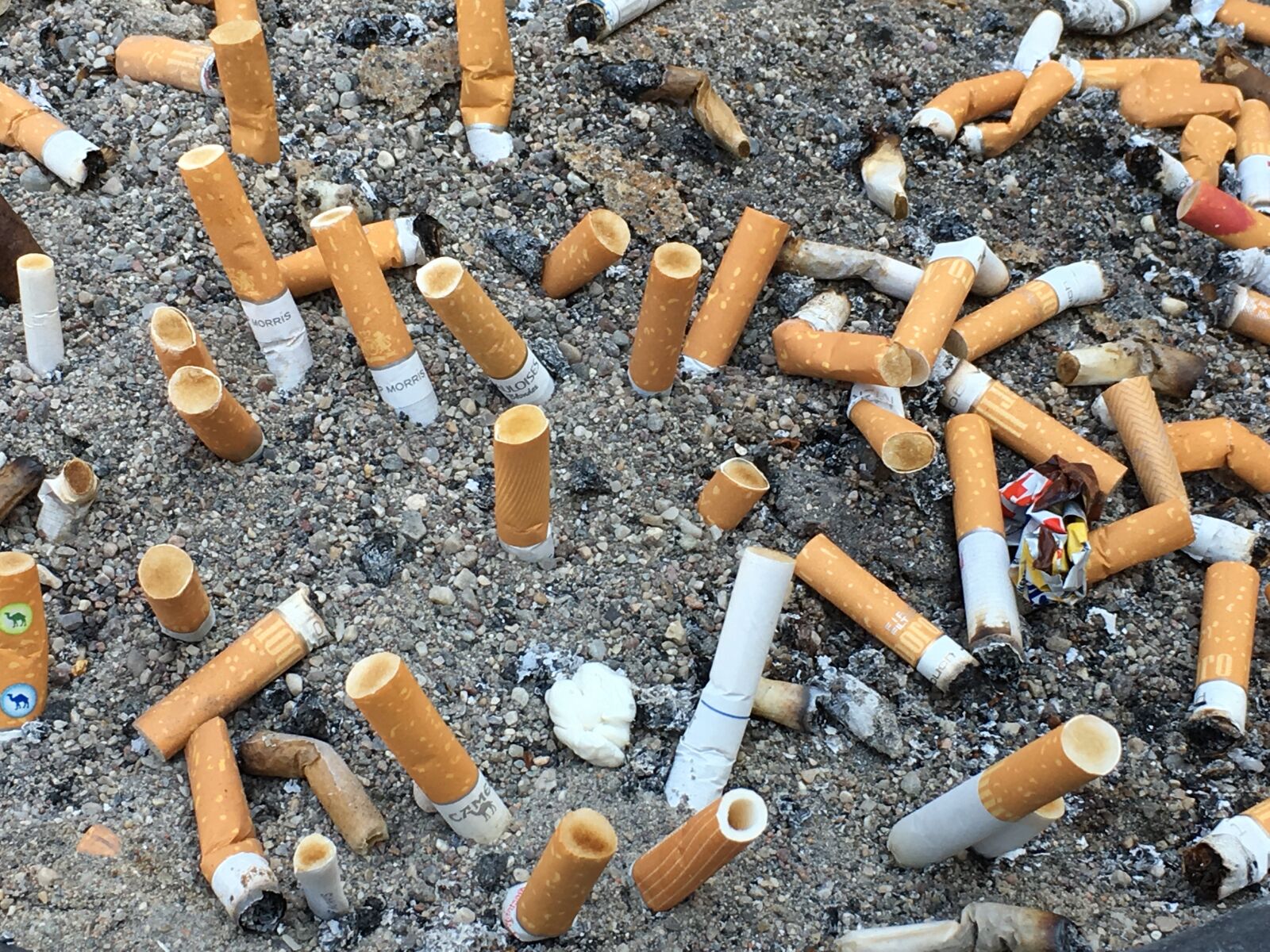 iPhone SE back camera 4.15mm f/2.2 sample photo. Cigarettes, battle, field photography