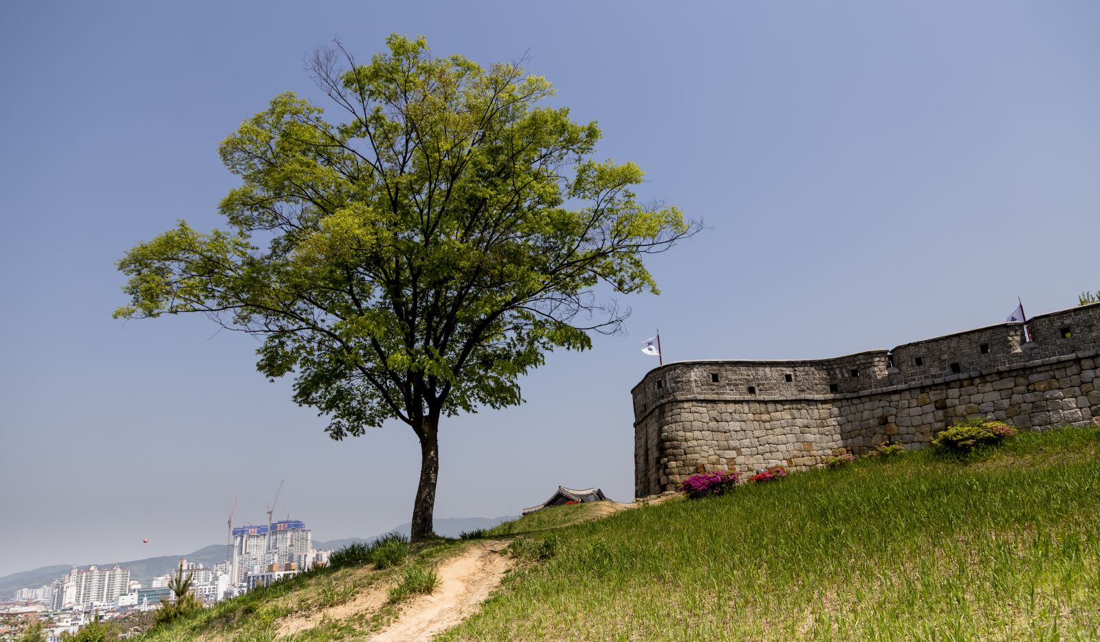 Canon EOS 6D + Canon EF 24-105mm F4L IS USM sample photo. Each day, wood, korea photography
