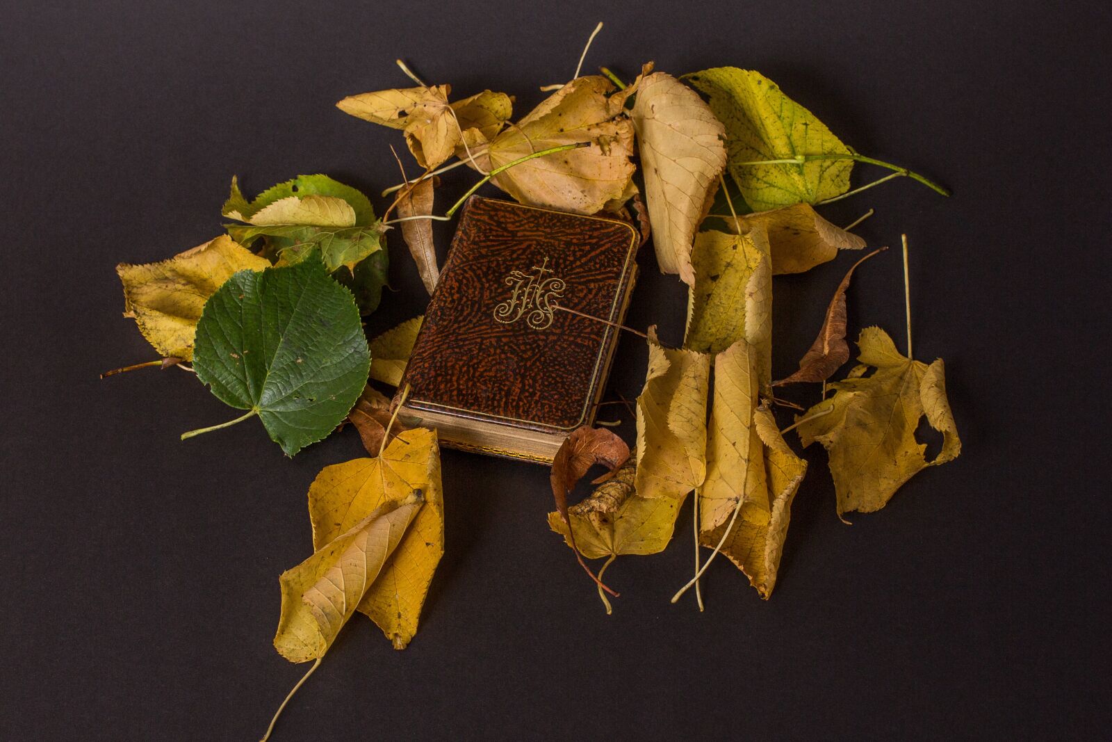 Canon EF 50mm F1.4 USM sample photo. Prayer book, prayer, fromm photography