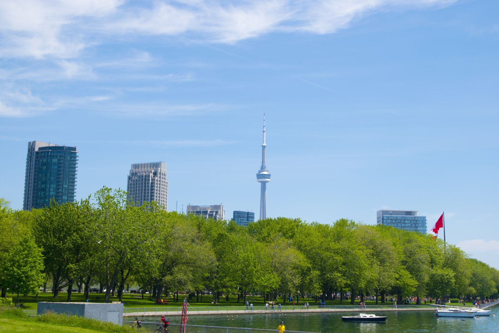 Nikon D5300 sample photo. Toronto, ontario, canada photography