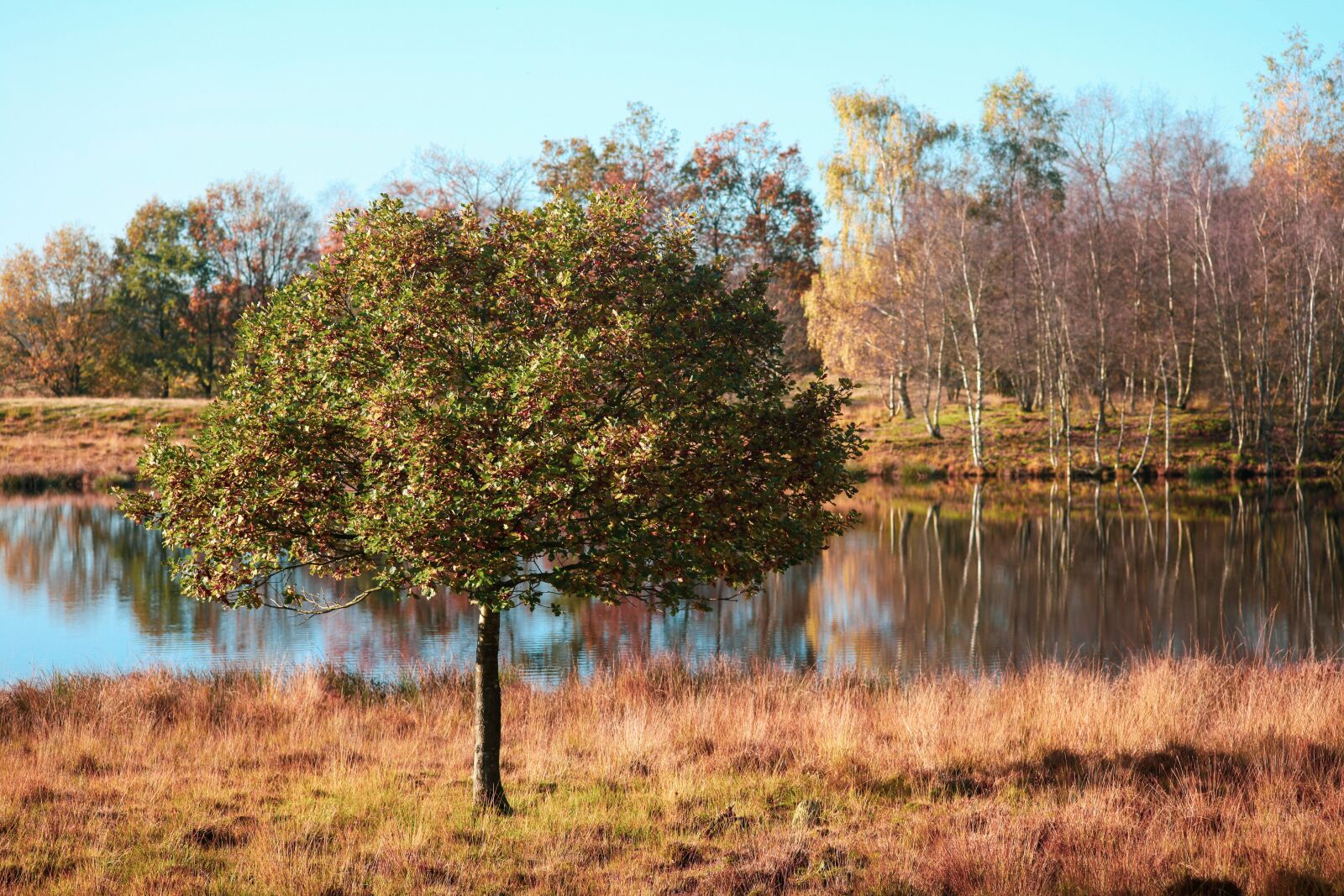 Canon EOS 5D Mark II sample photo. Autumn, lake, reflections photography